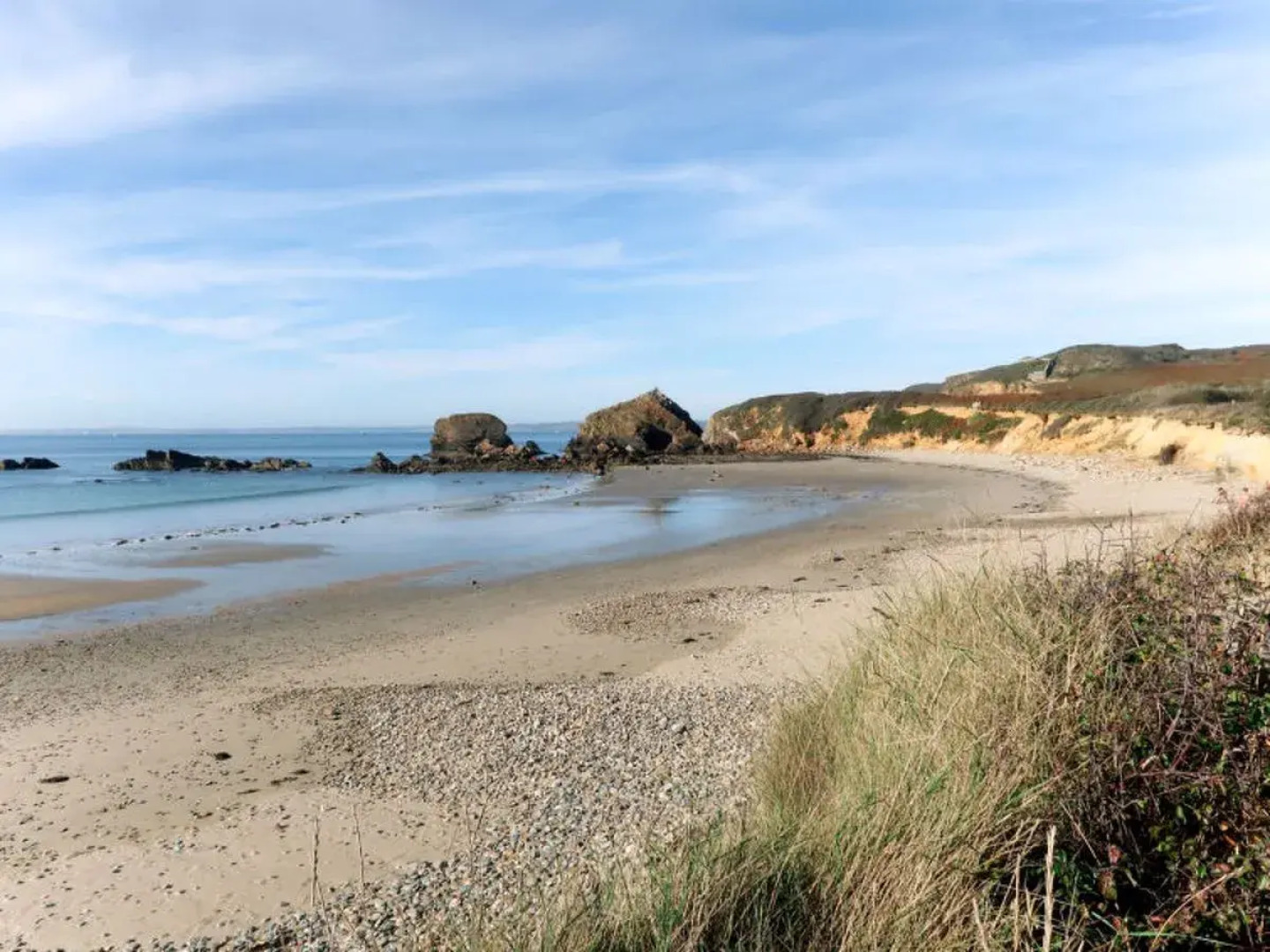 Le Vieux Chêne (CMS106)