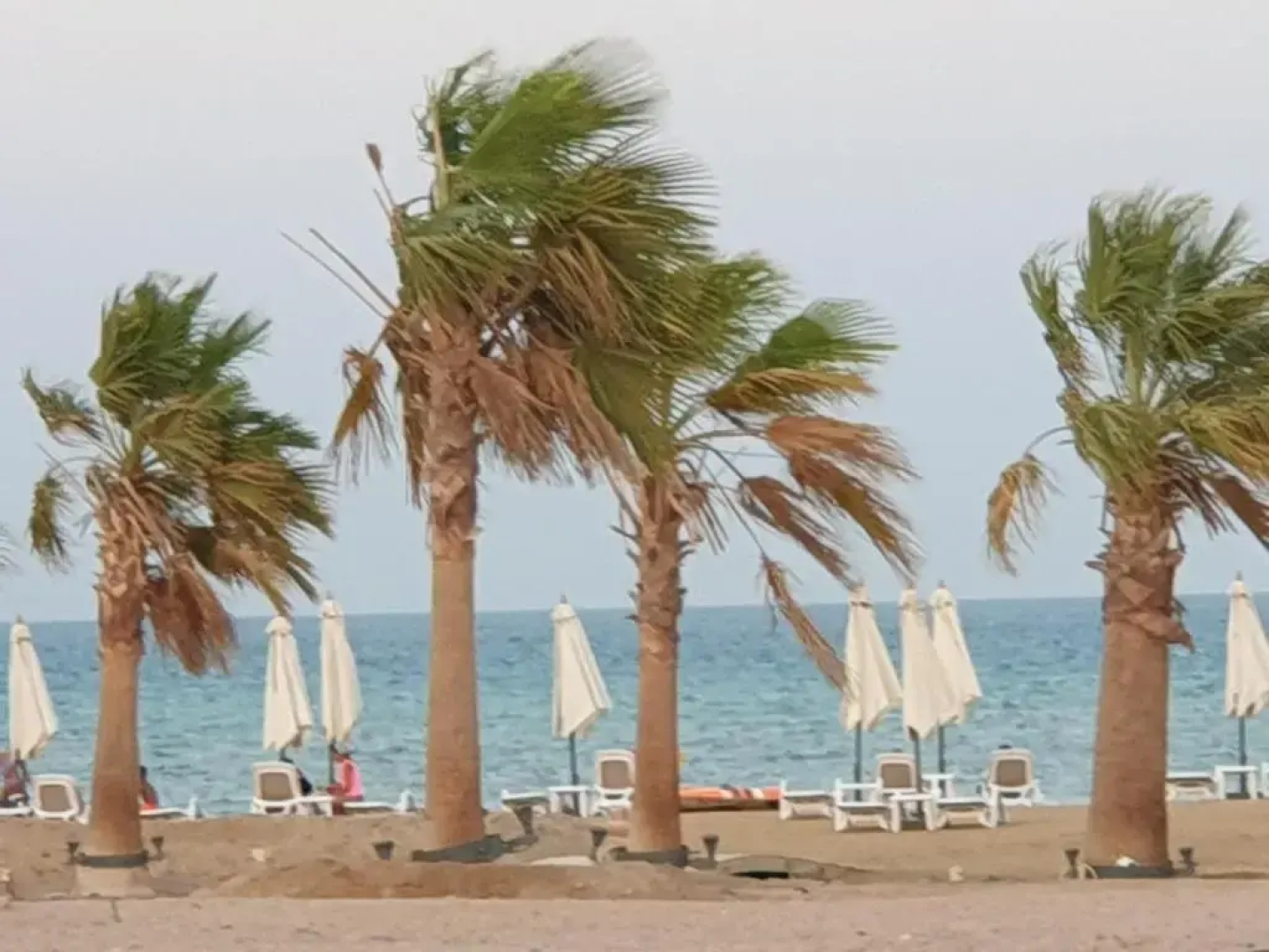 luxury apartment at Mangroovy El Gouna