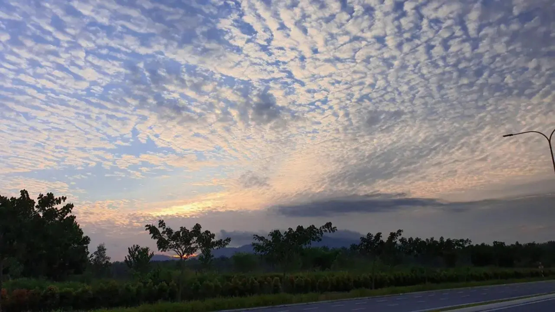 Mawah Qaseh@the Park