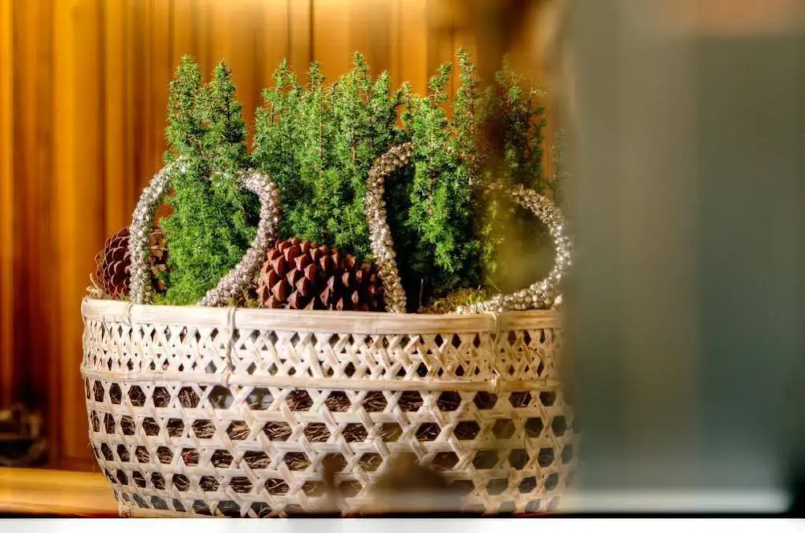 Ski & Bike Hotel Wiesenegg