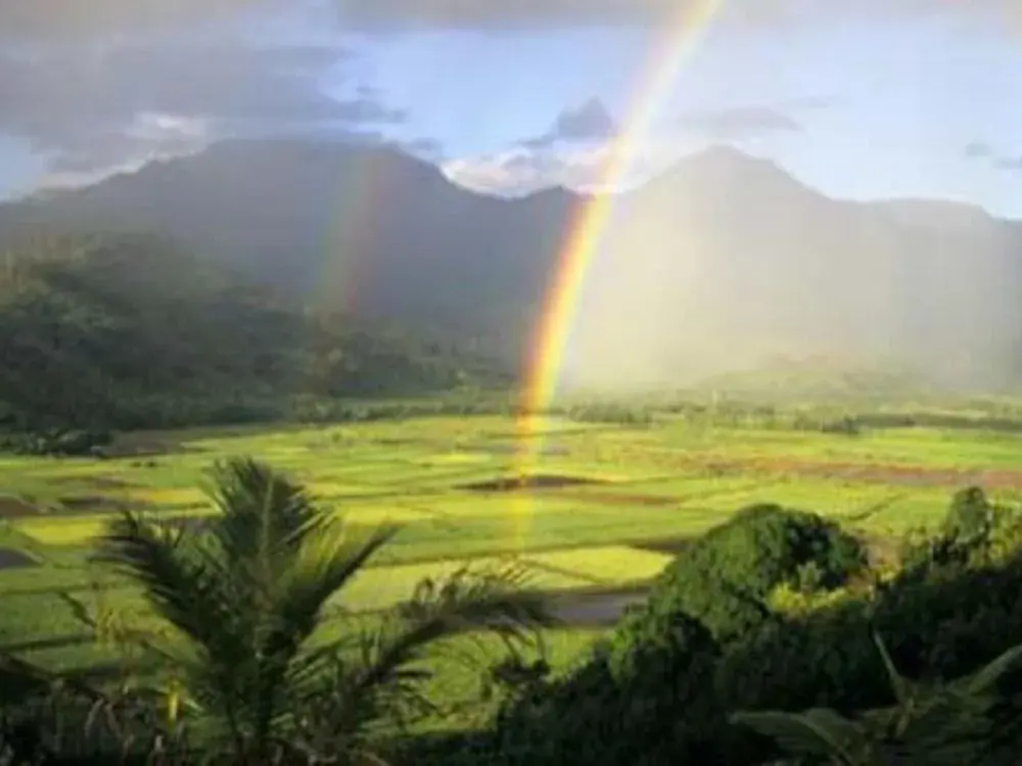 Waipouli Beach Resort G101 by RedAwning