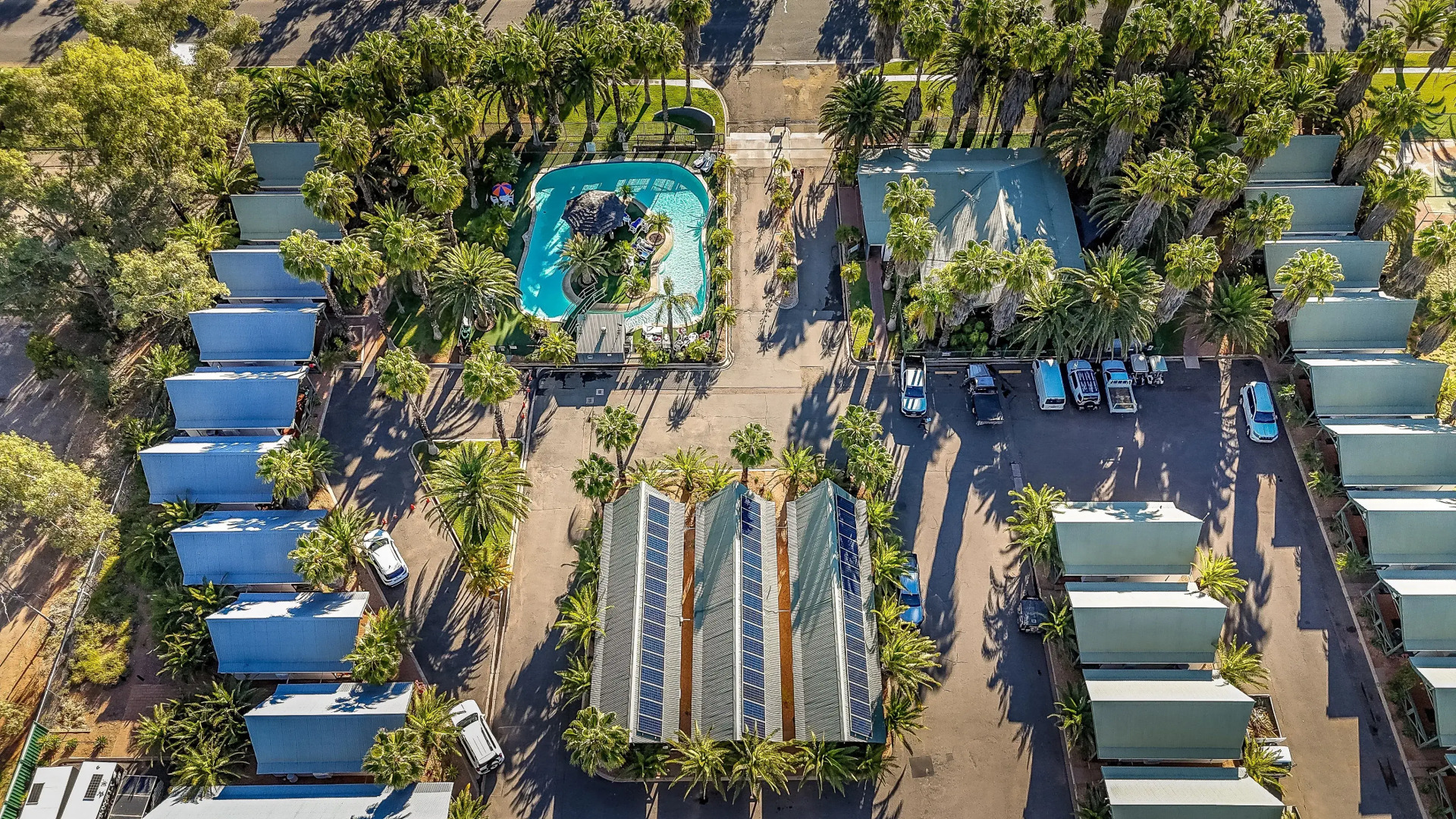 Desert Palms Alice Springs
