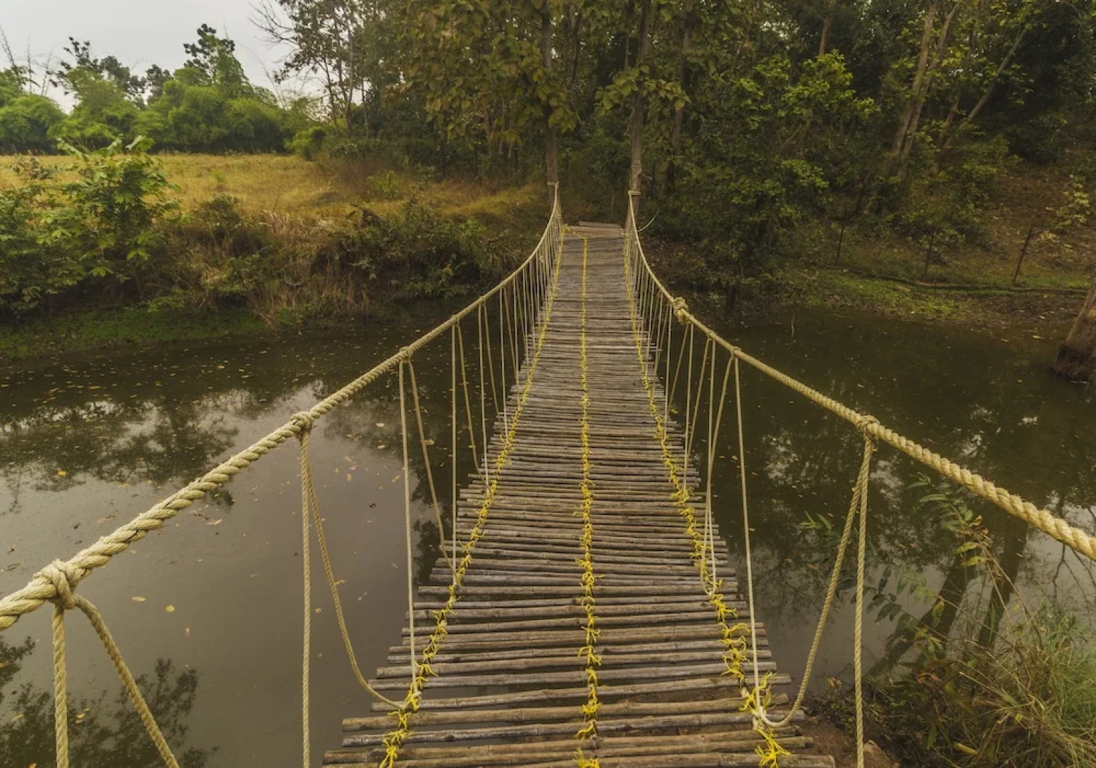 Wowstayz2 Pachmarhi Ecotel Resort