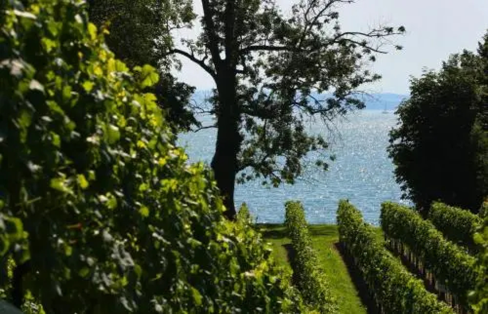 Gästehaus Hornstein