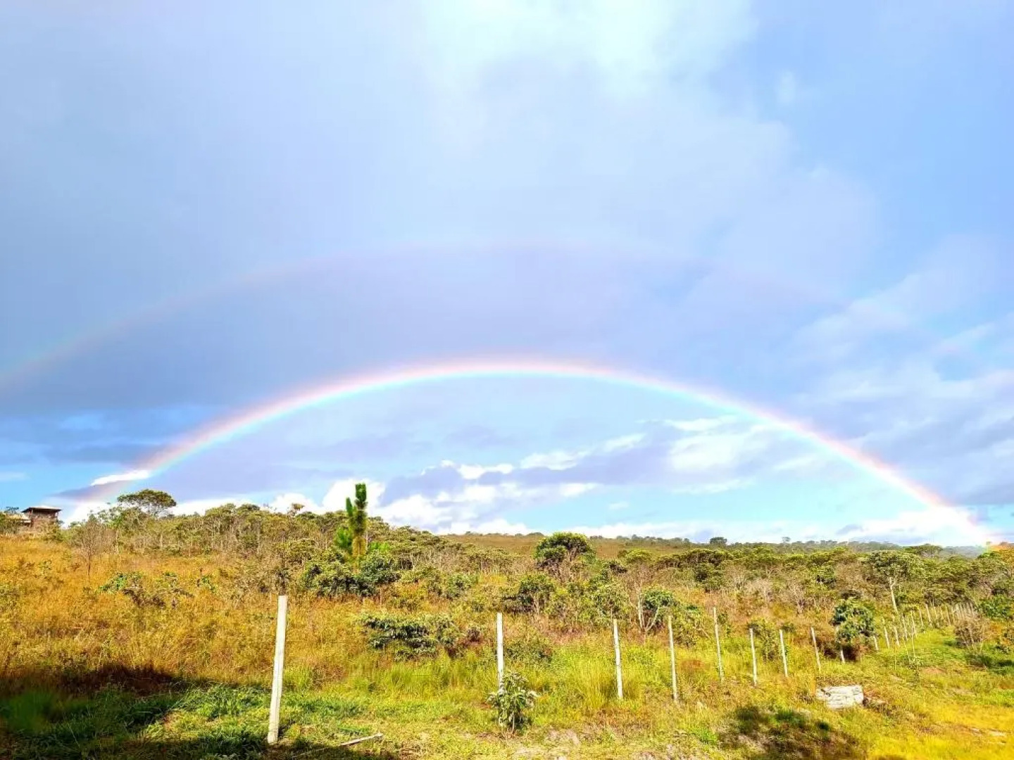 Toca Dos Coelhos Chales