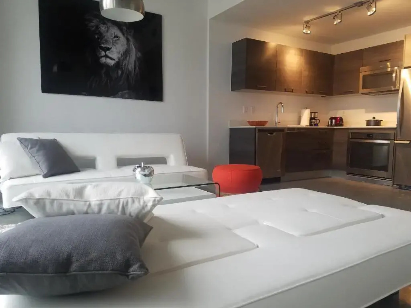 Downtown Miami Deluxe Apartment