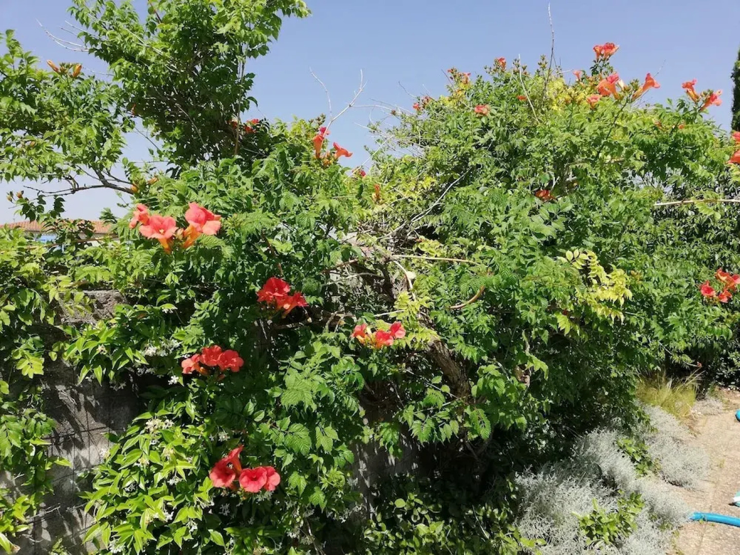 Maison d'Architecte chez Huguette