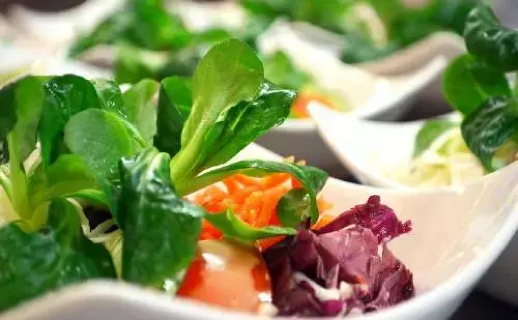 Bio Berghotel Sammüller