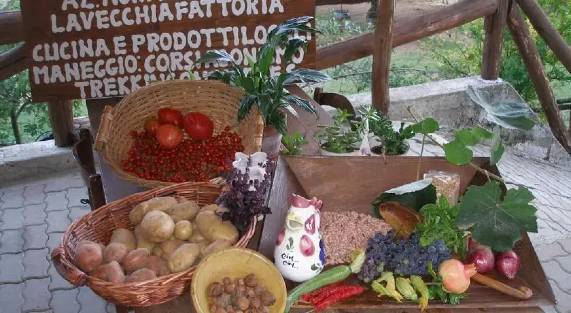 Az.Agr.La Vecchia Fattoria da Marica