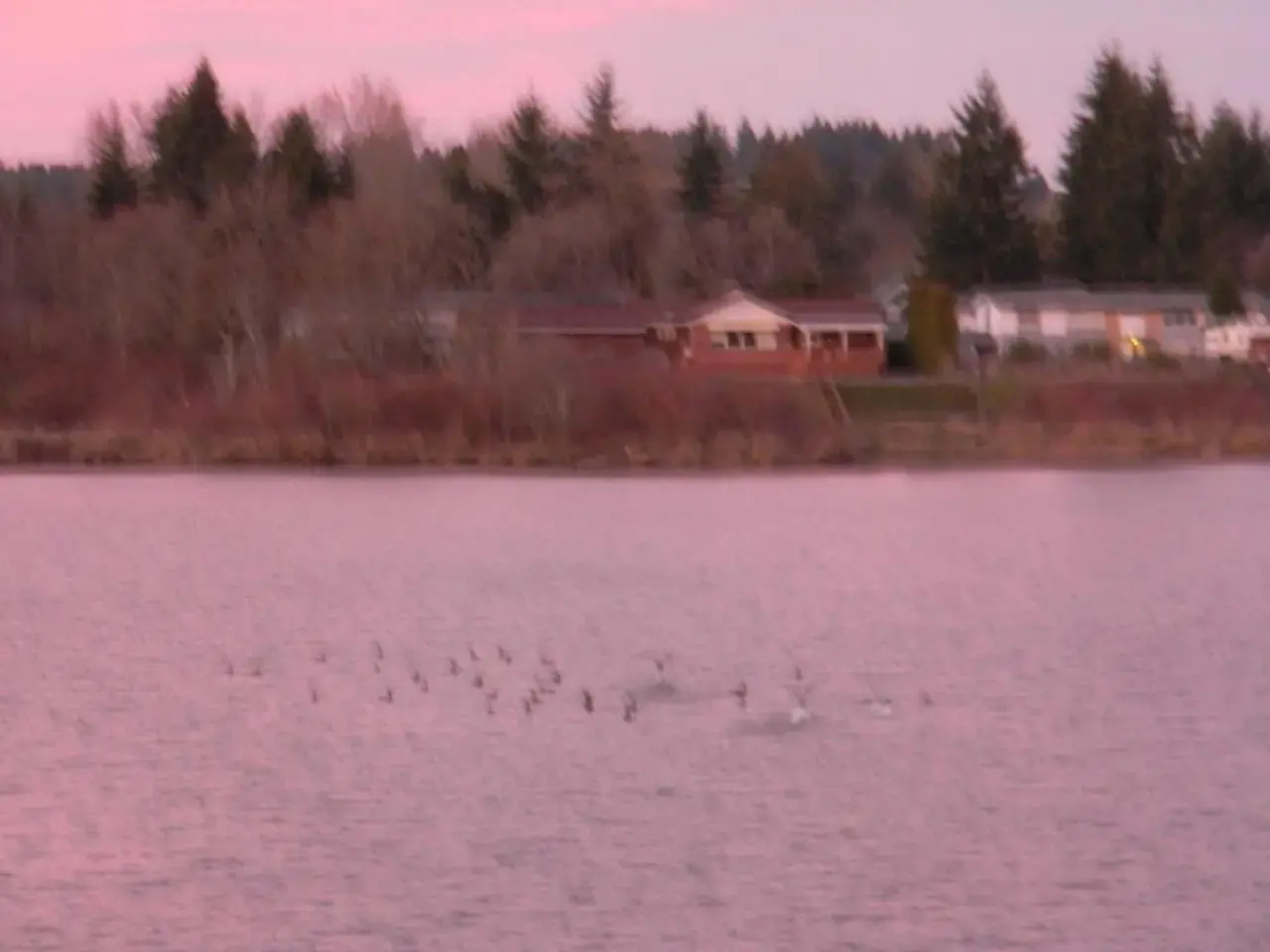 Americas Best Value Inn