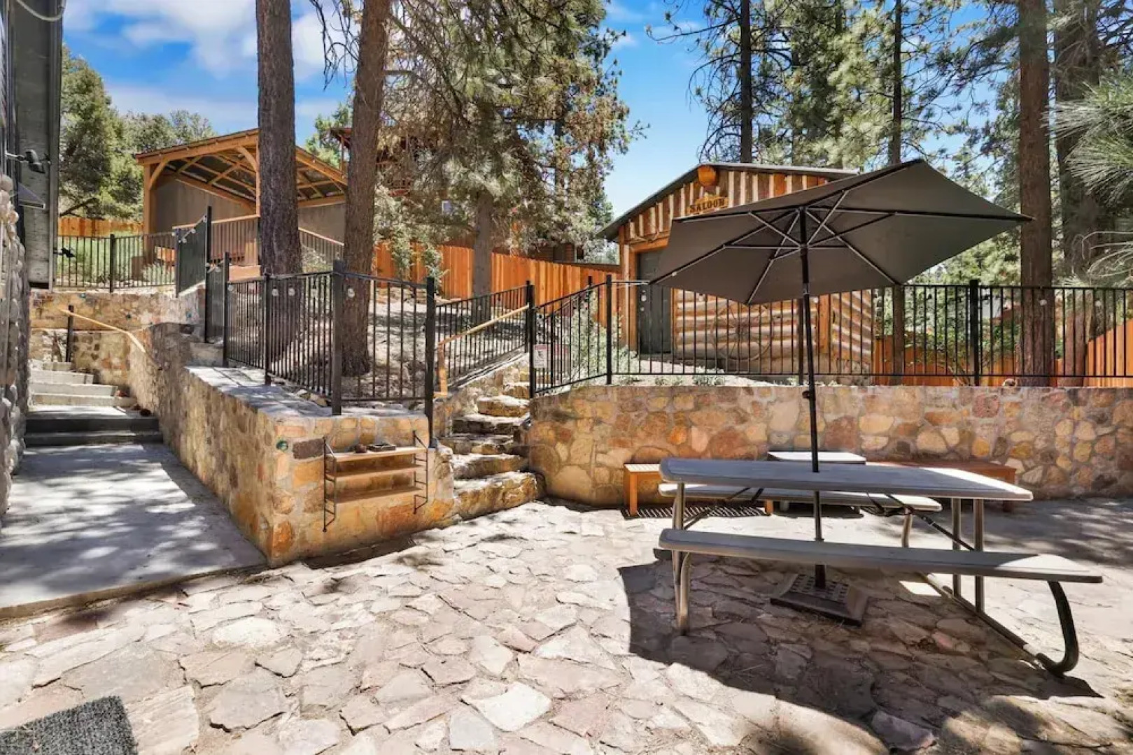 Polar Plunge BIG Bear #2031