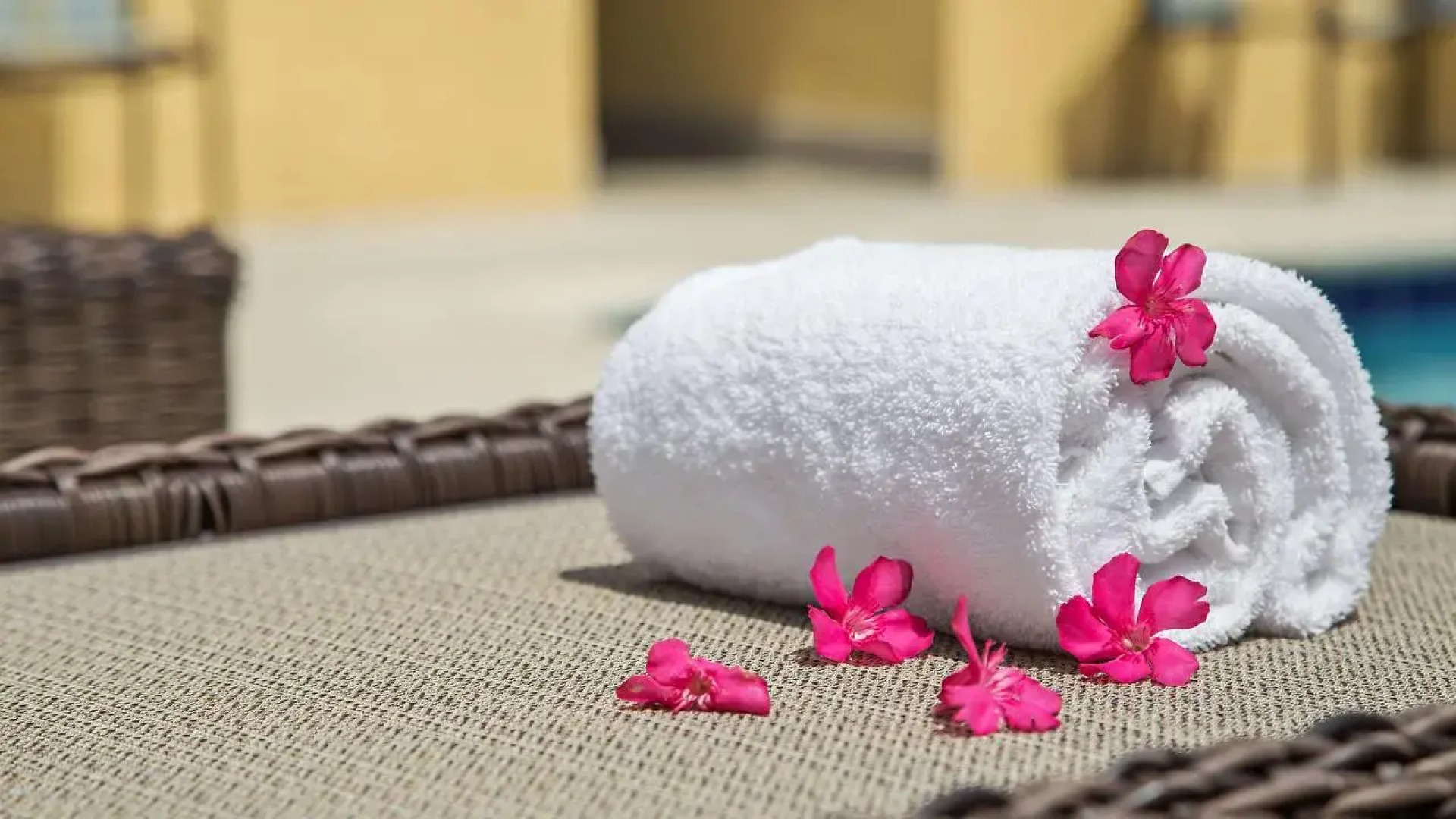 Best Western Plus Miami Executive Airport Hotel & Suites