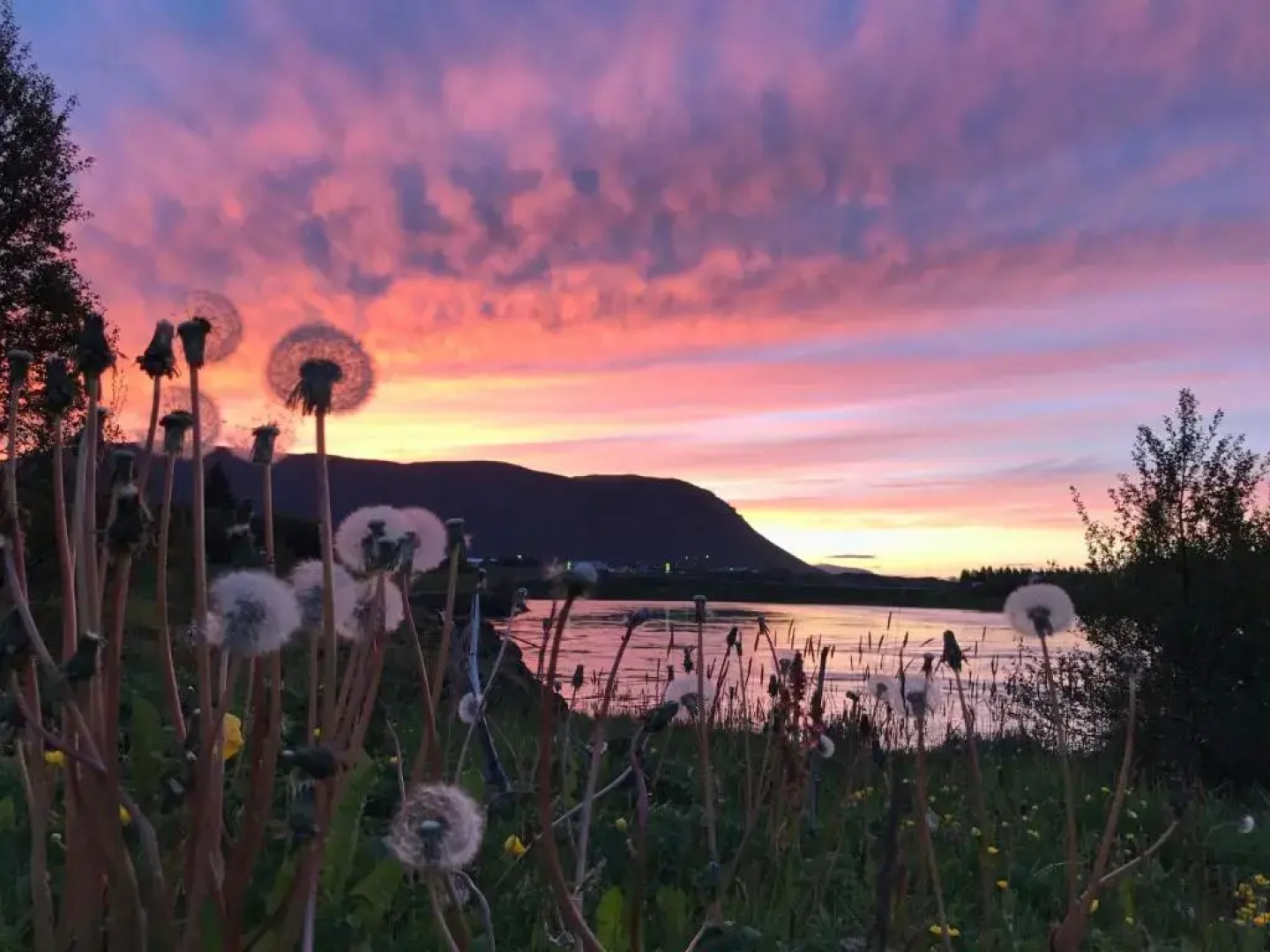 Thoristun Apartments