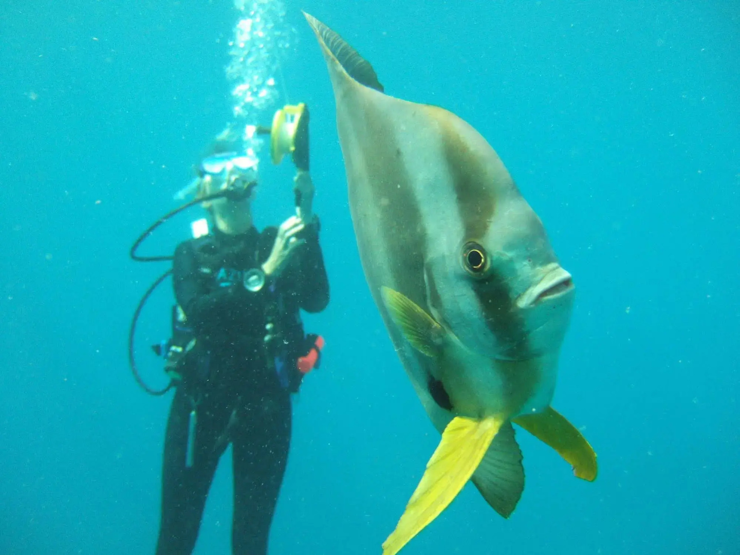 Azura Benguerra Island