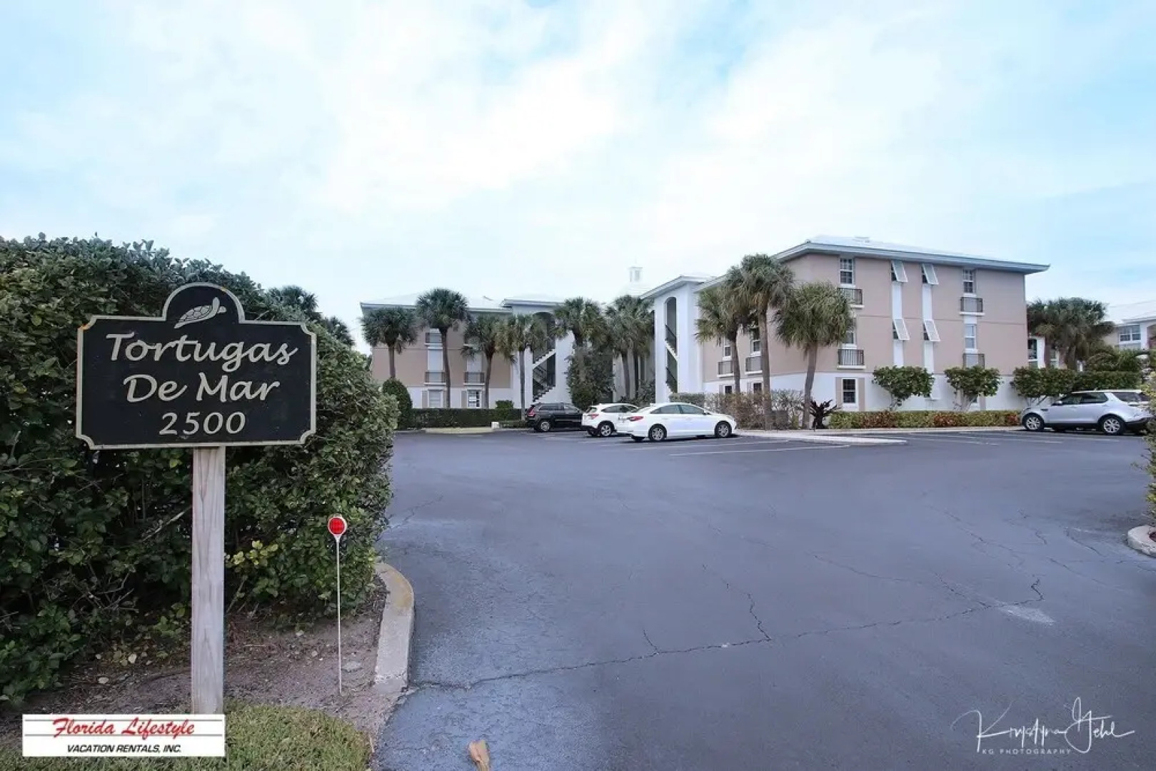 Tortugas De Mar 103b