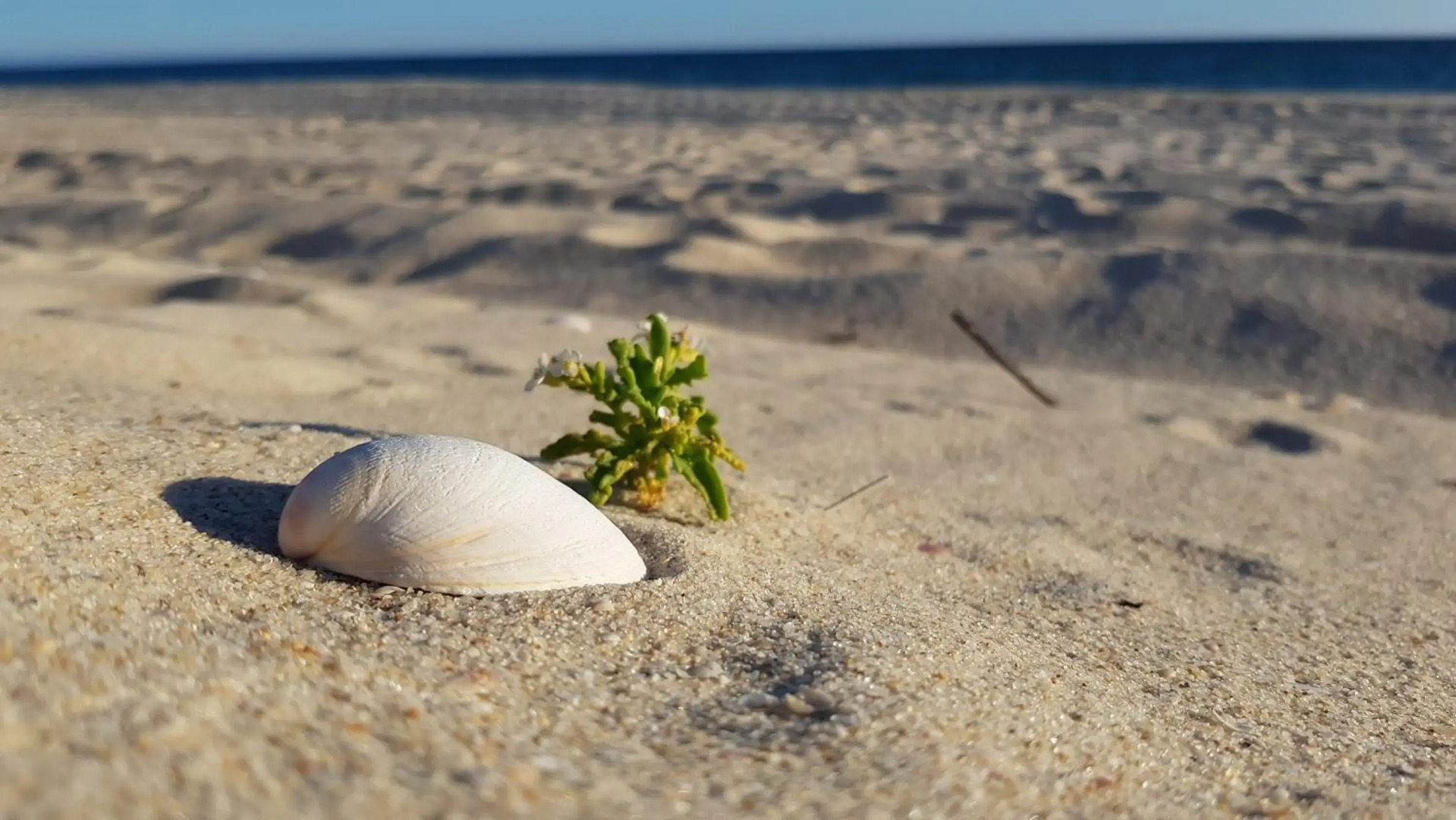 Villa Sequoia - Beach and Lake Private Holidays