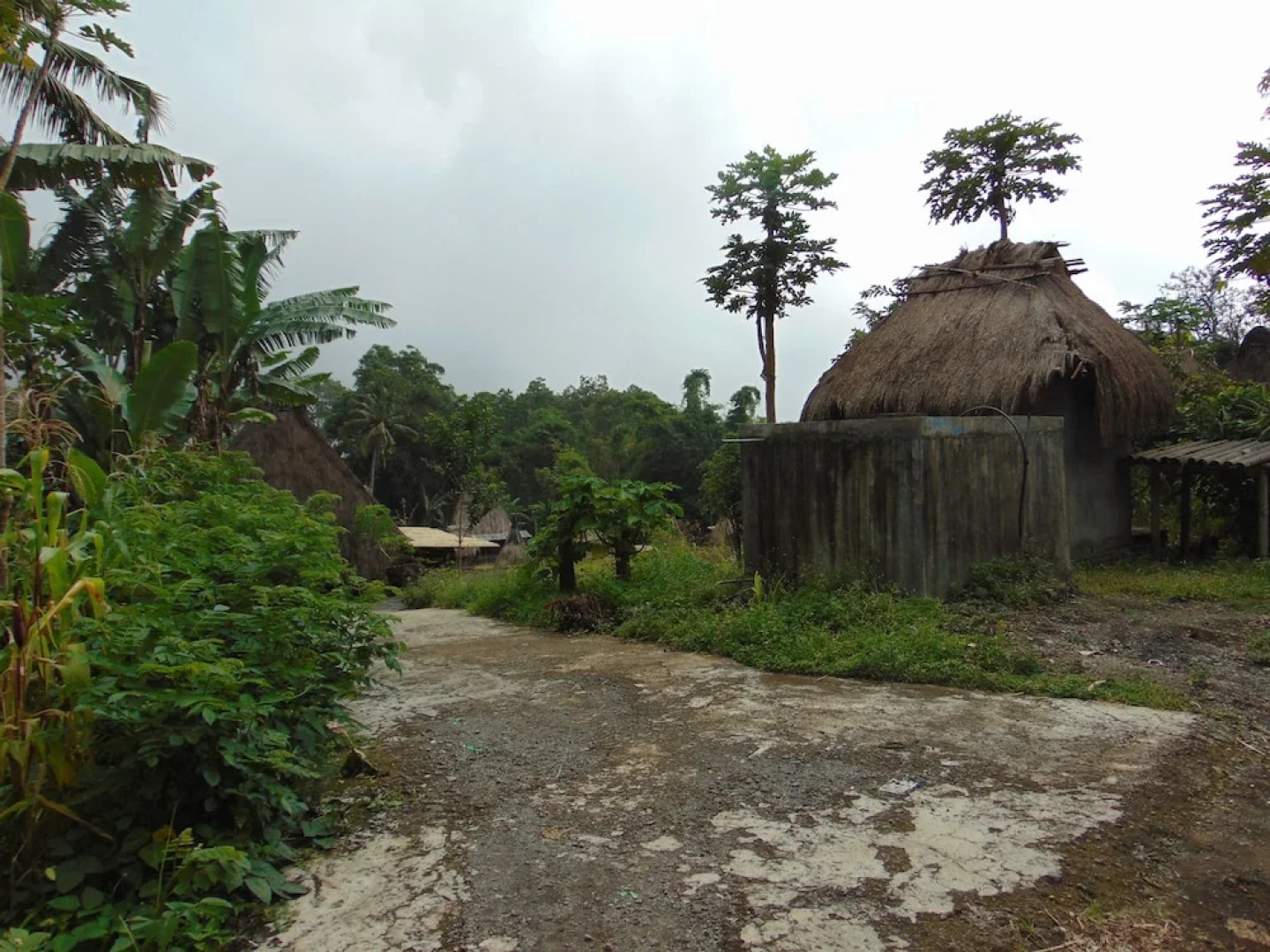 New Bintang Bajawa