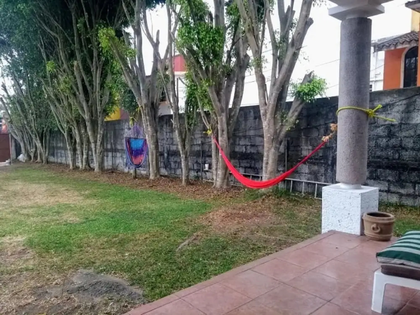House of Ficus Banderilla,veracruz-mexico