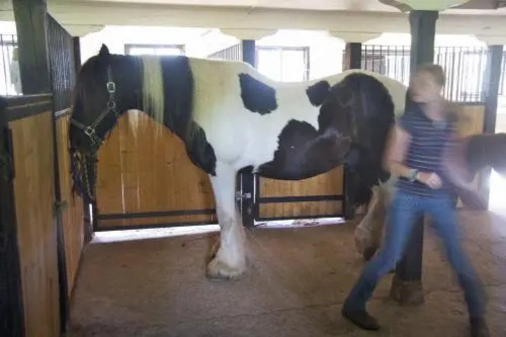 Olstorp Gård Bed & Breakfast