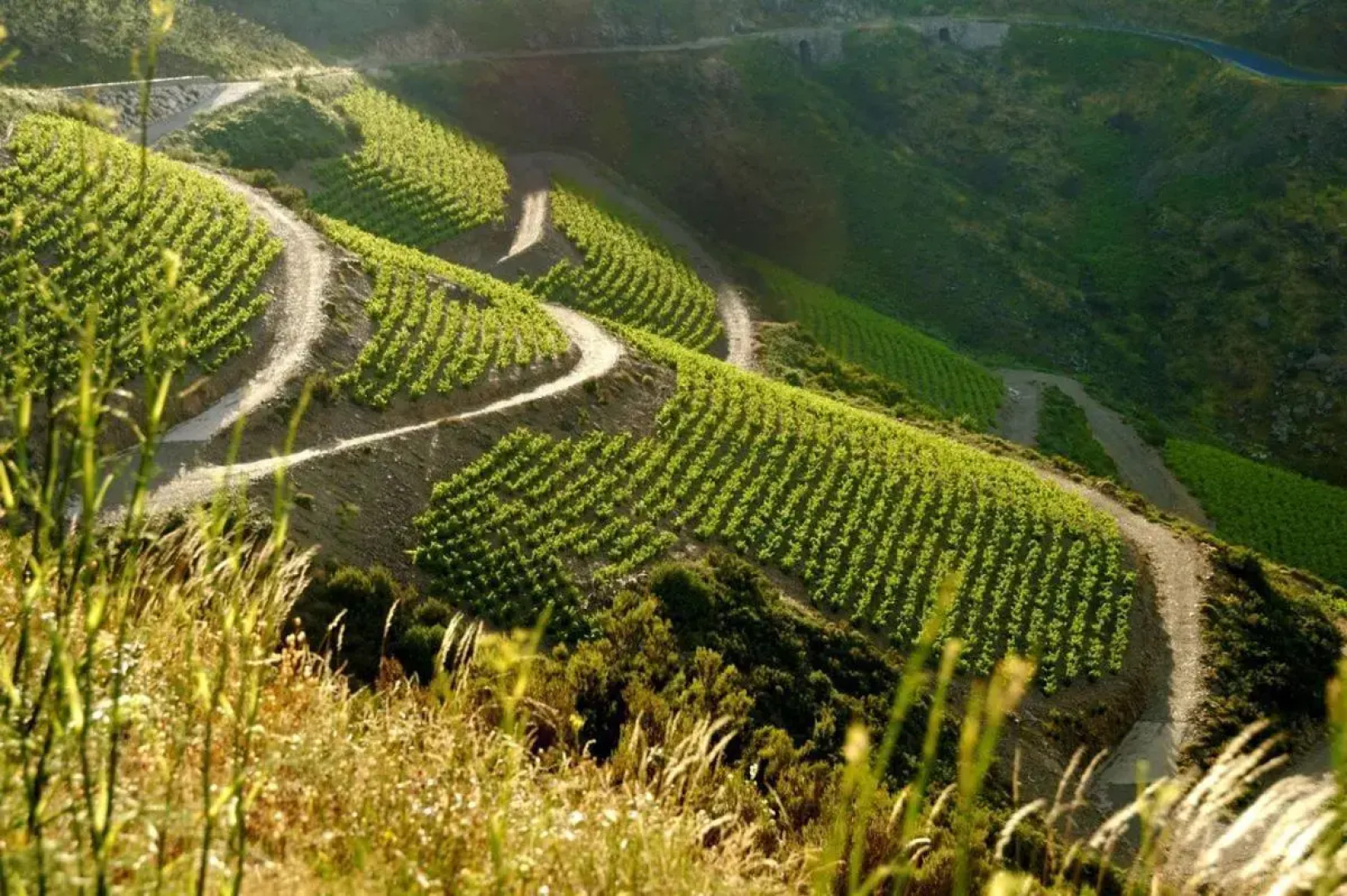 Rue sebastien spacious apartment close beach