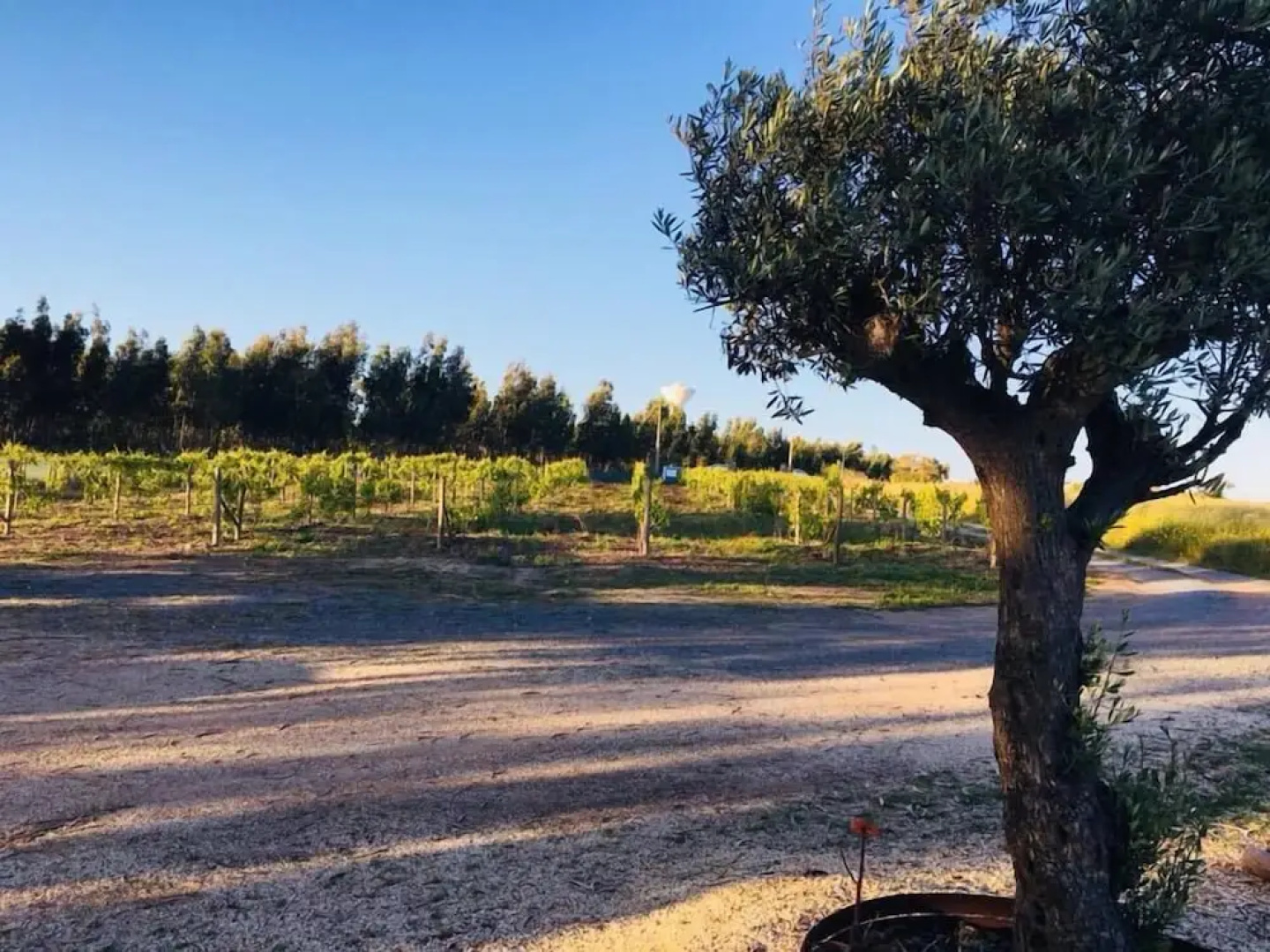 Monte da Boavista