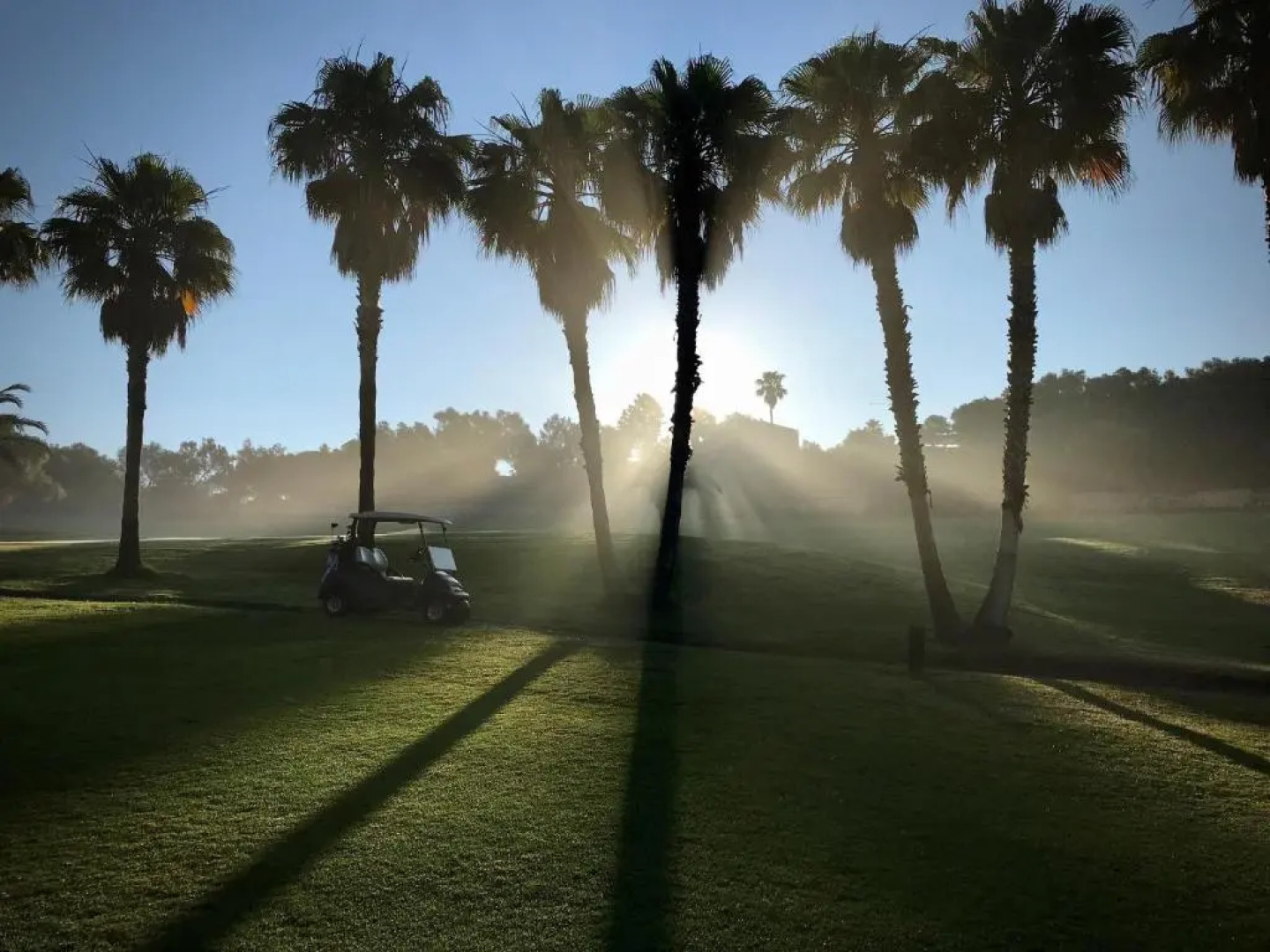 Reserva Rotana Hotel