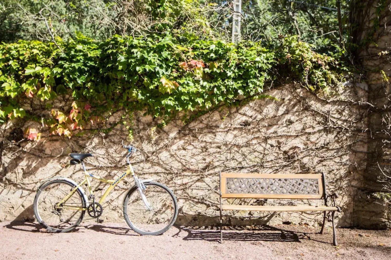 Charming Rustic Coach House