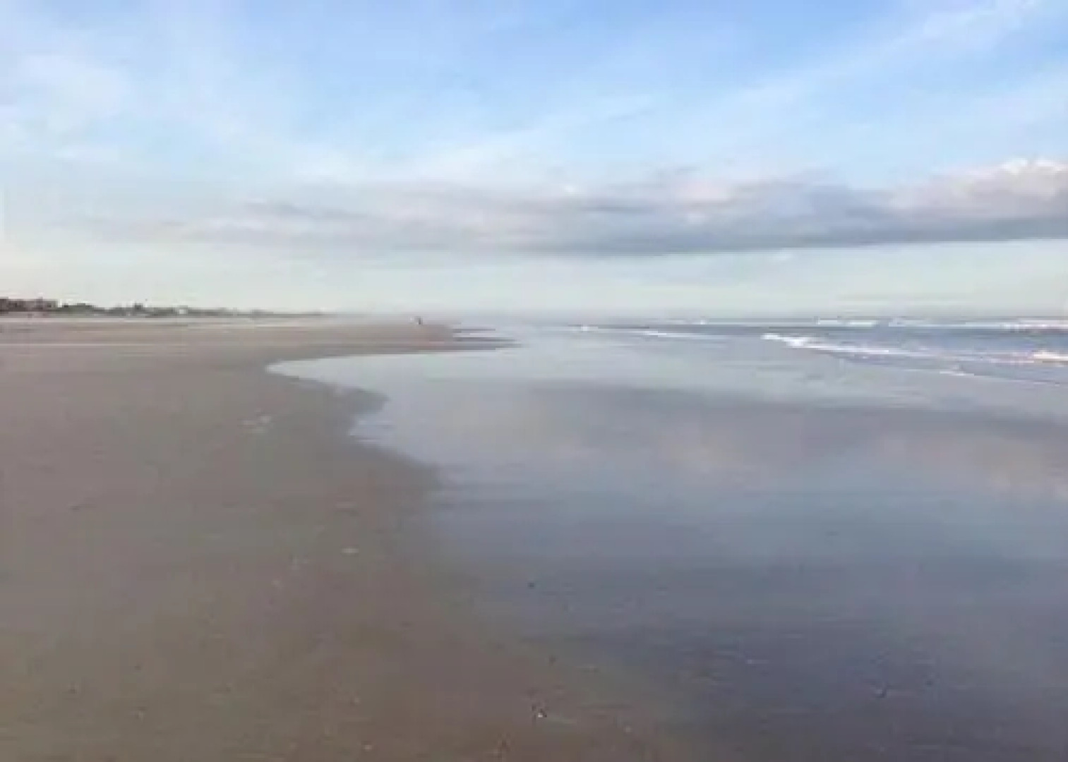 Ocean Village Club P19