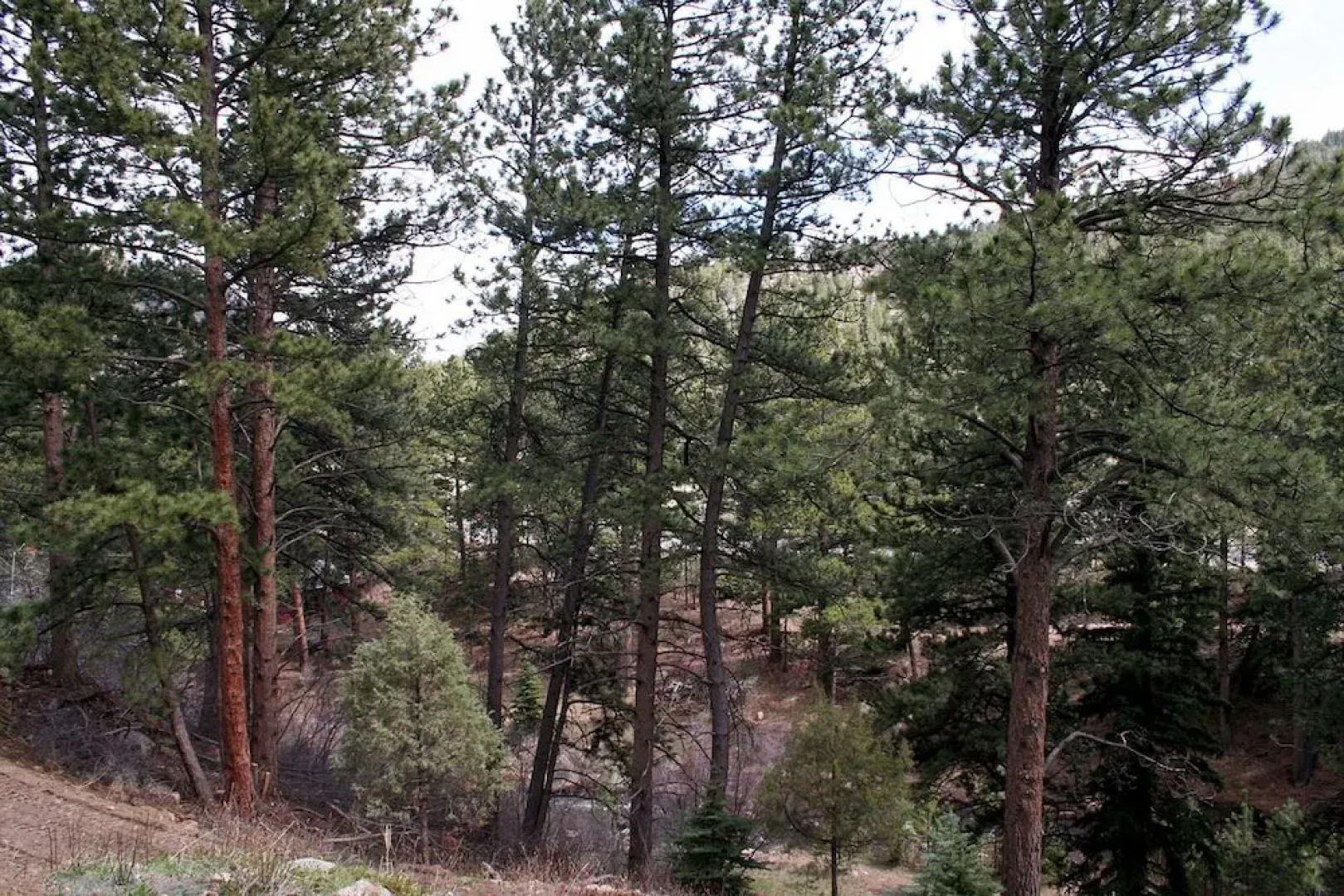 Fawn Valley Inn: 105