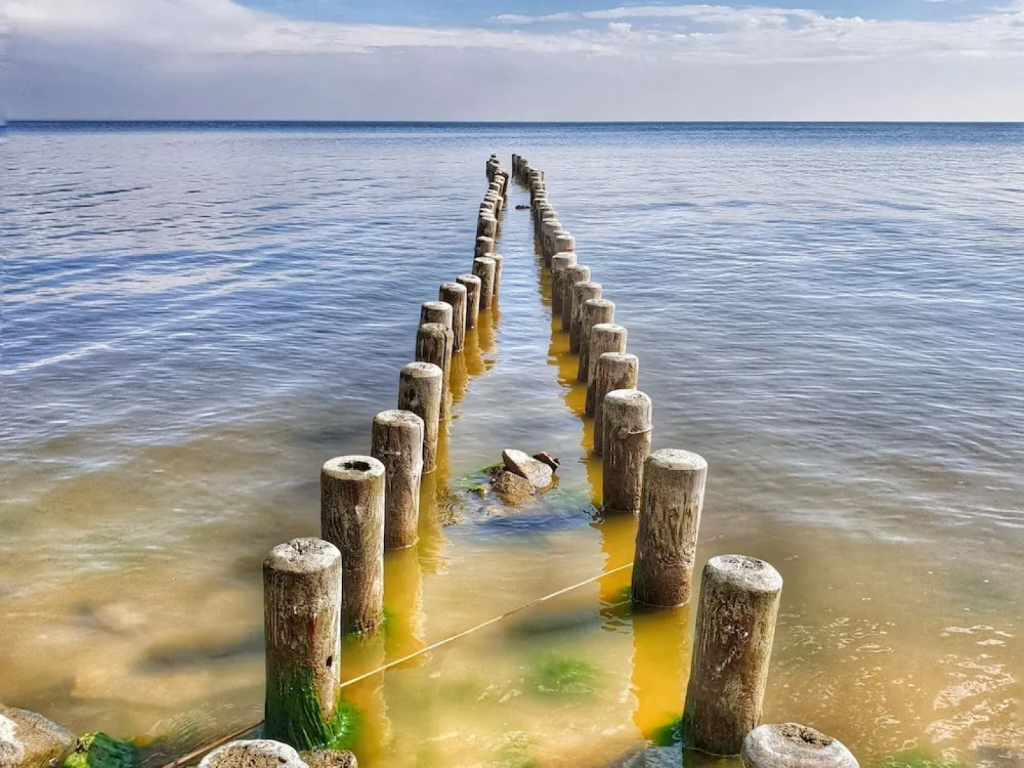 Apartment Near Lagoon and Lake Views
