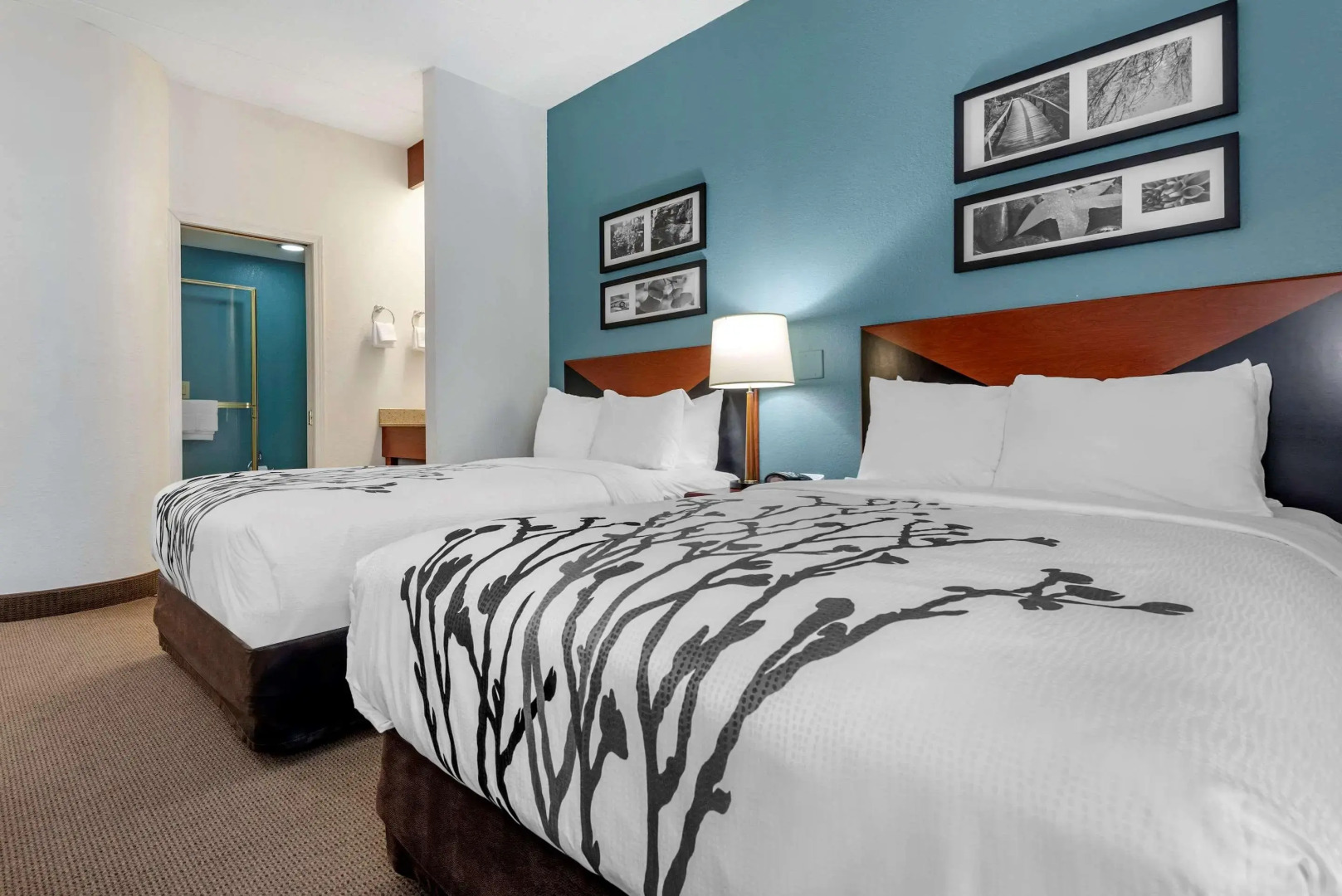 Sleep Inn Amherst - Buffalo North near University