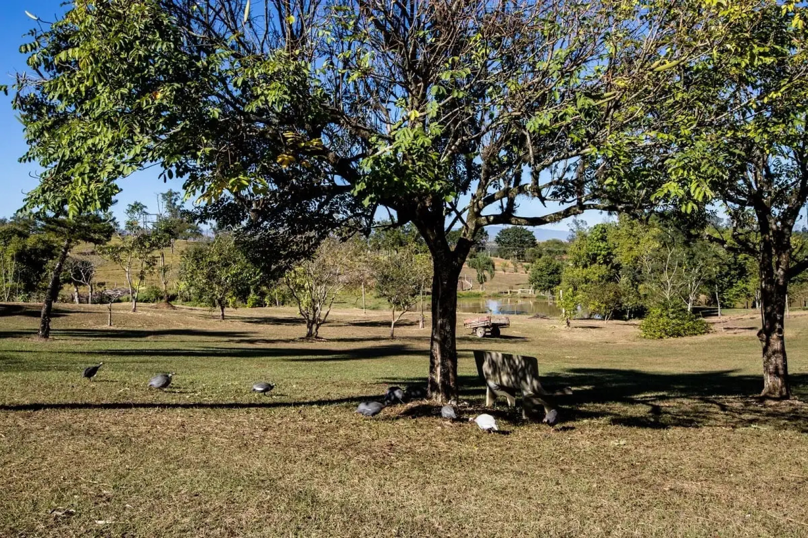 Hotel Fazenda Sete Lagos