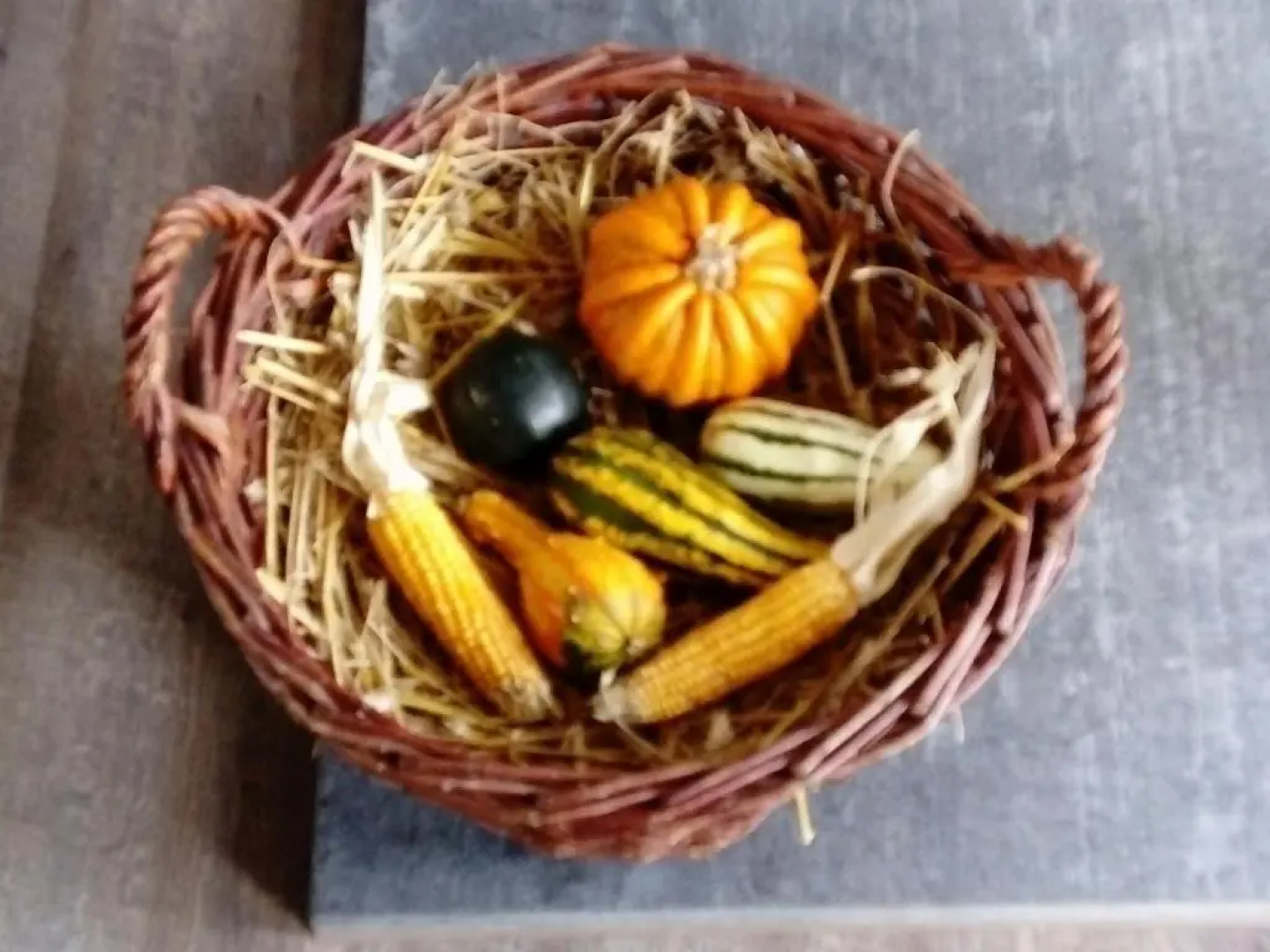 Reiterhof & Pension Lienemann