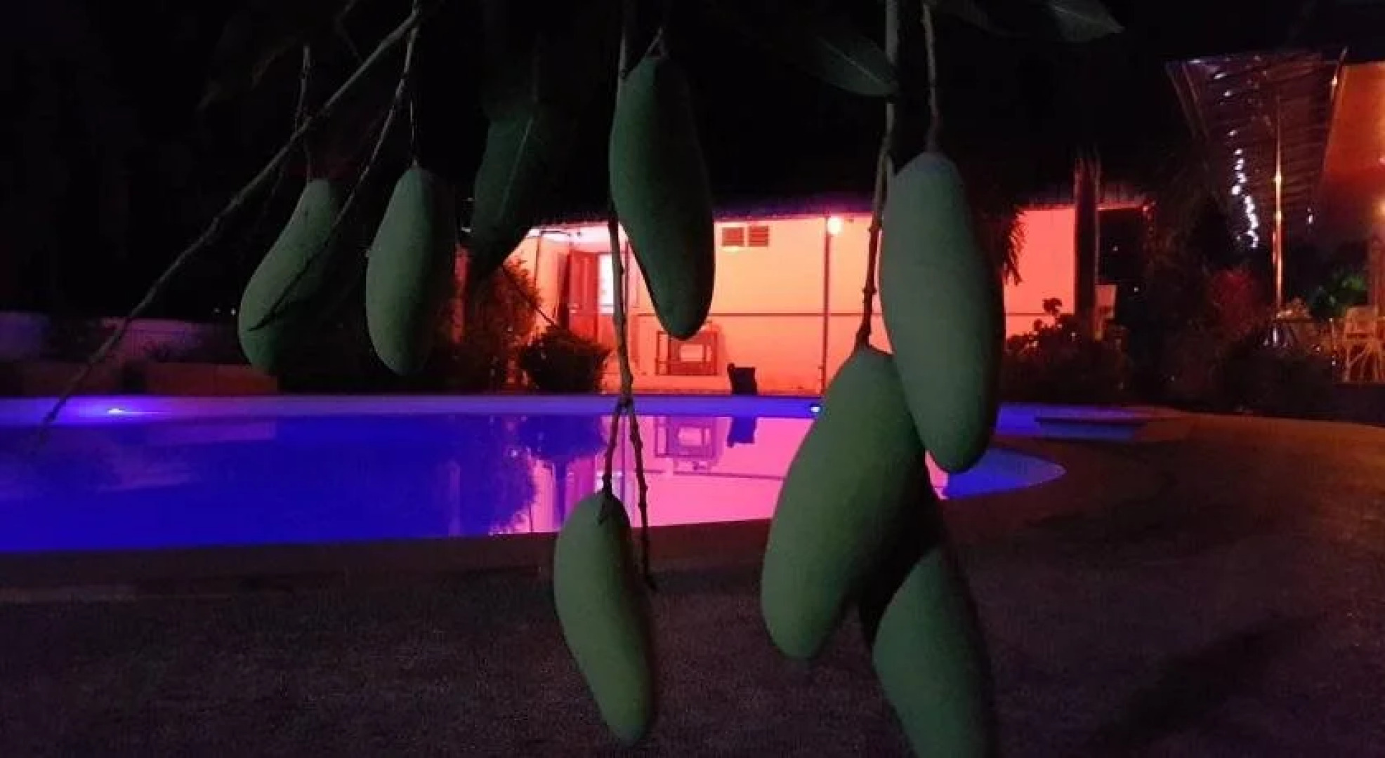 Nuch's Apple Guest House