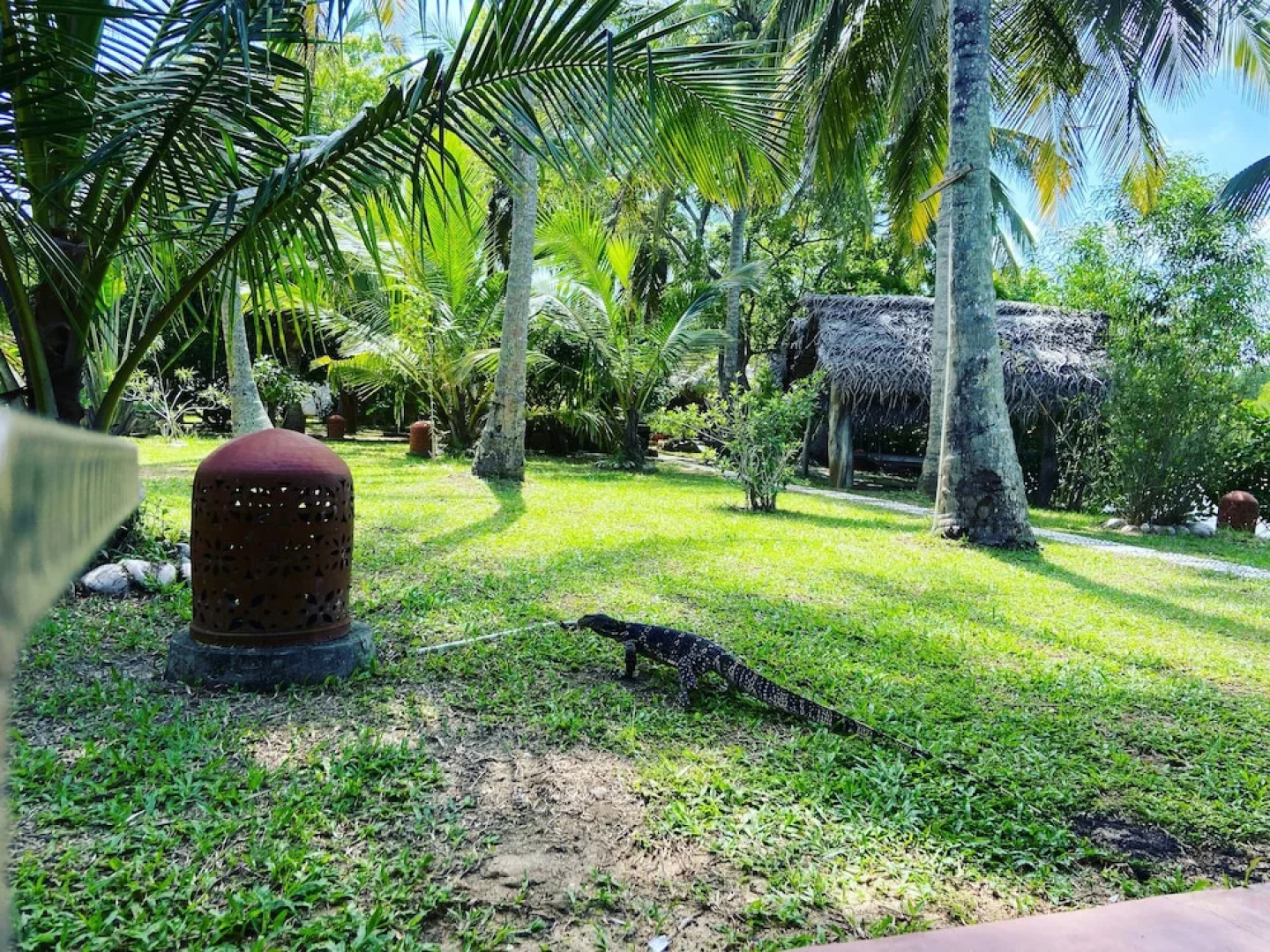coconut island cabanas