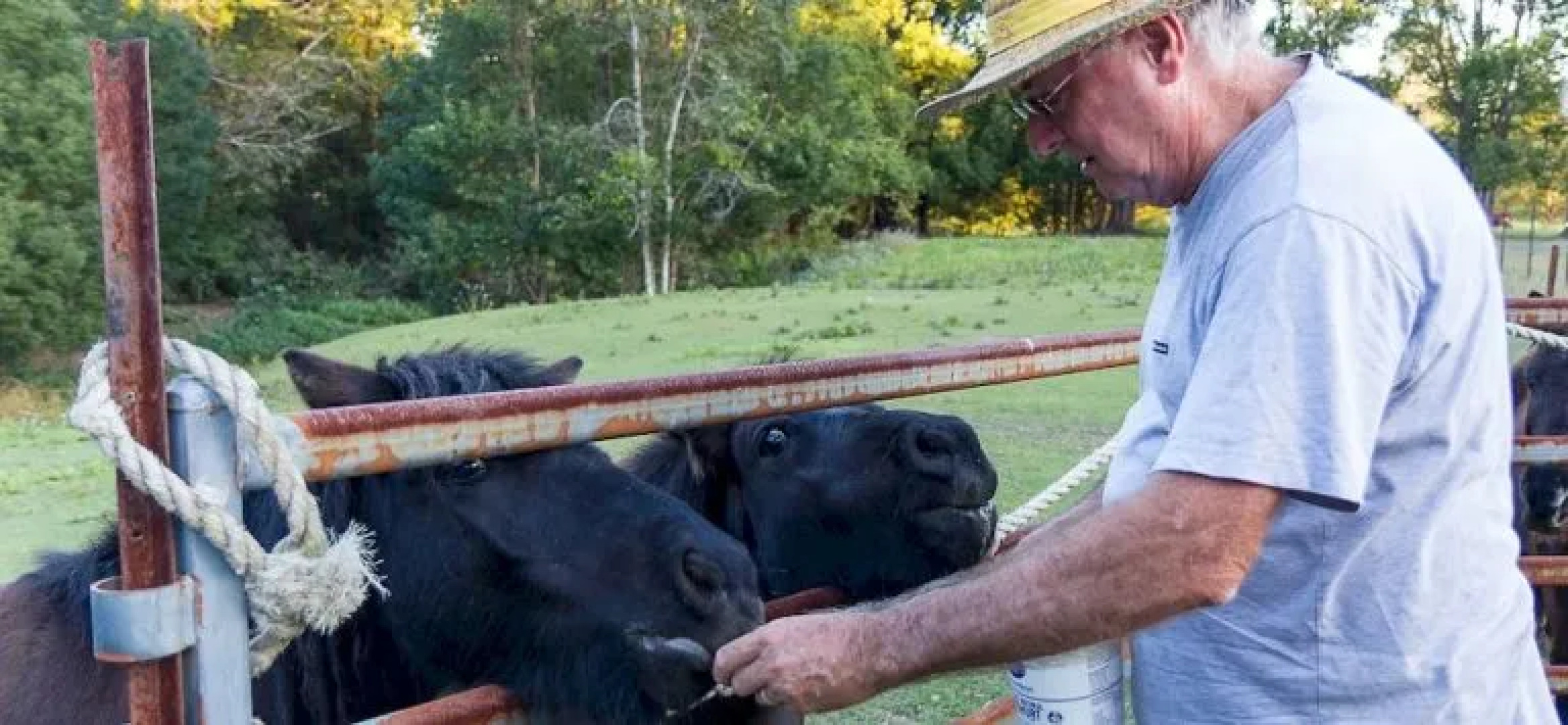 Jacaranda Creek Farmstay & B&B