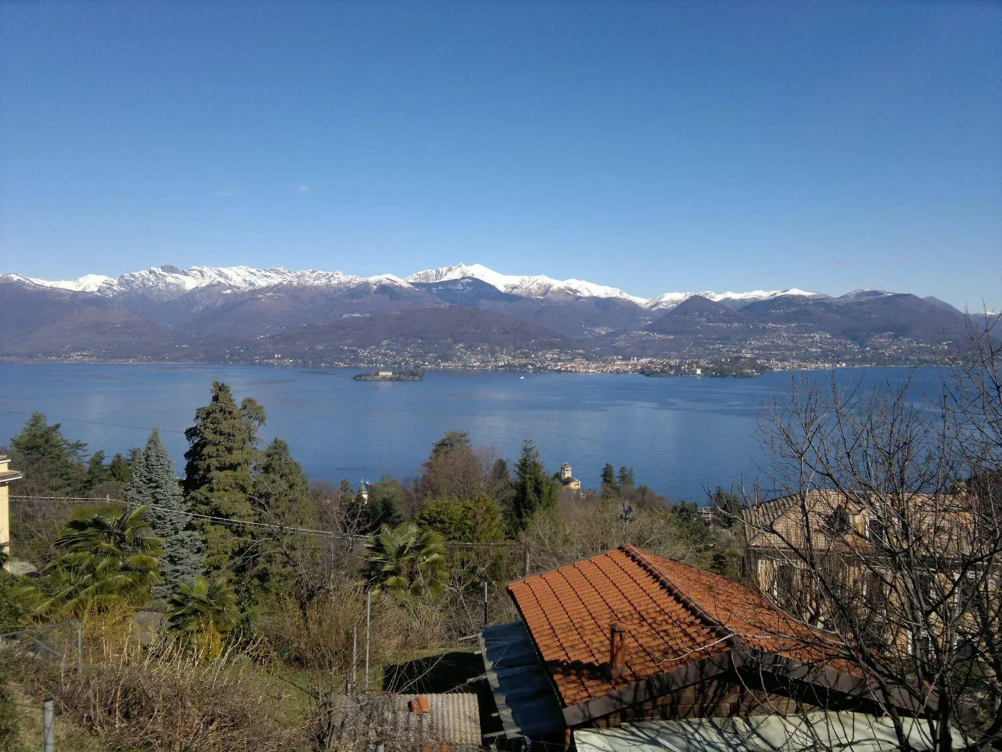 Lo Scoiattolo e la Noce