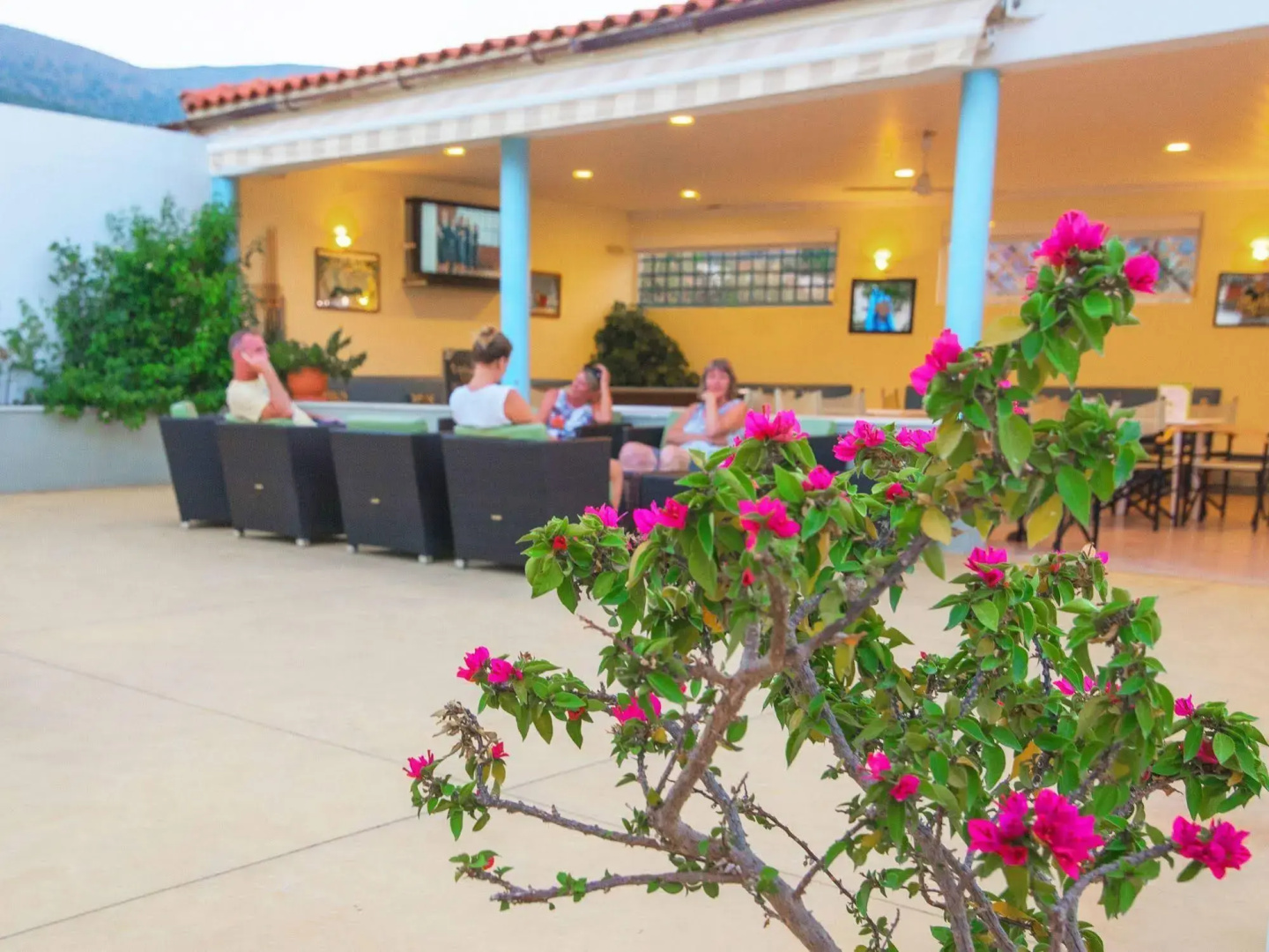 Melissa Apartments, Studios & Suites