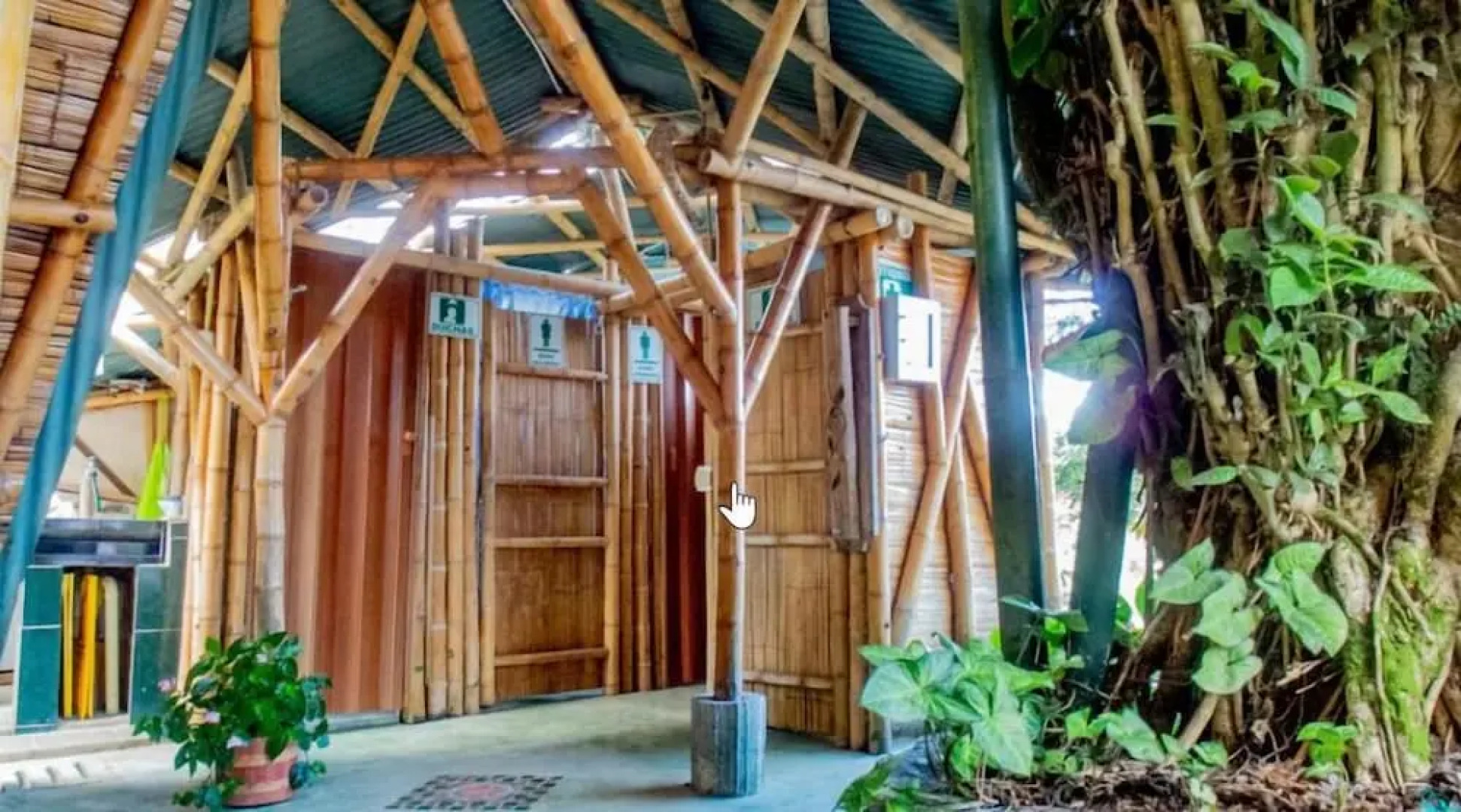 Ecoturismo La Nohelia