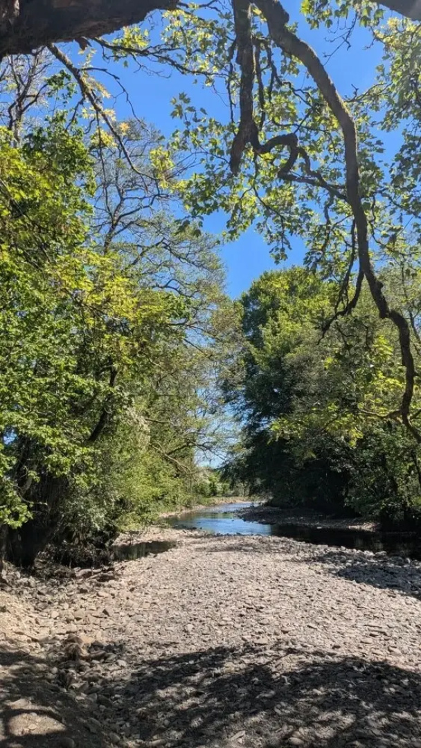Tranquil Cabin Retreat- Sleeps 2, Parking