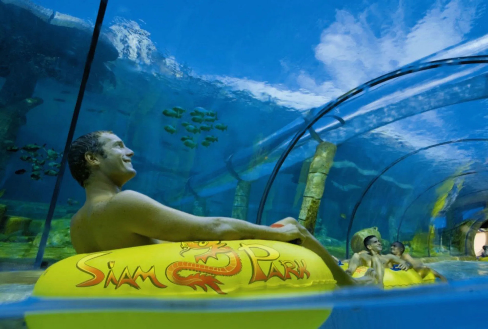 Rok Plaza - Only Adults