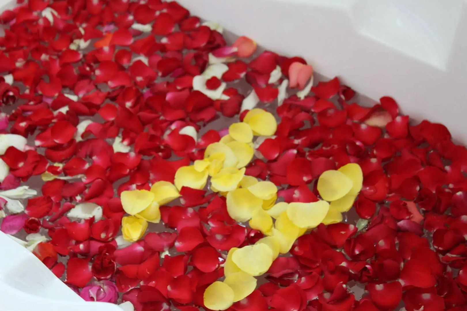 Harmony Phnom Penh Hotel