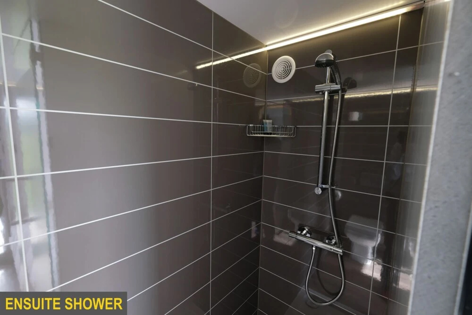 Caboose & Co - at The Hay Festival