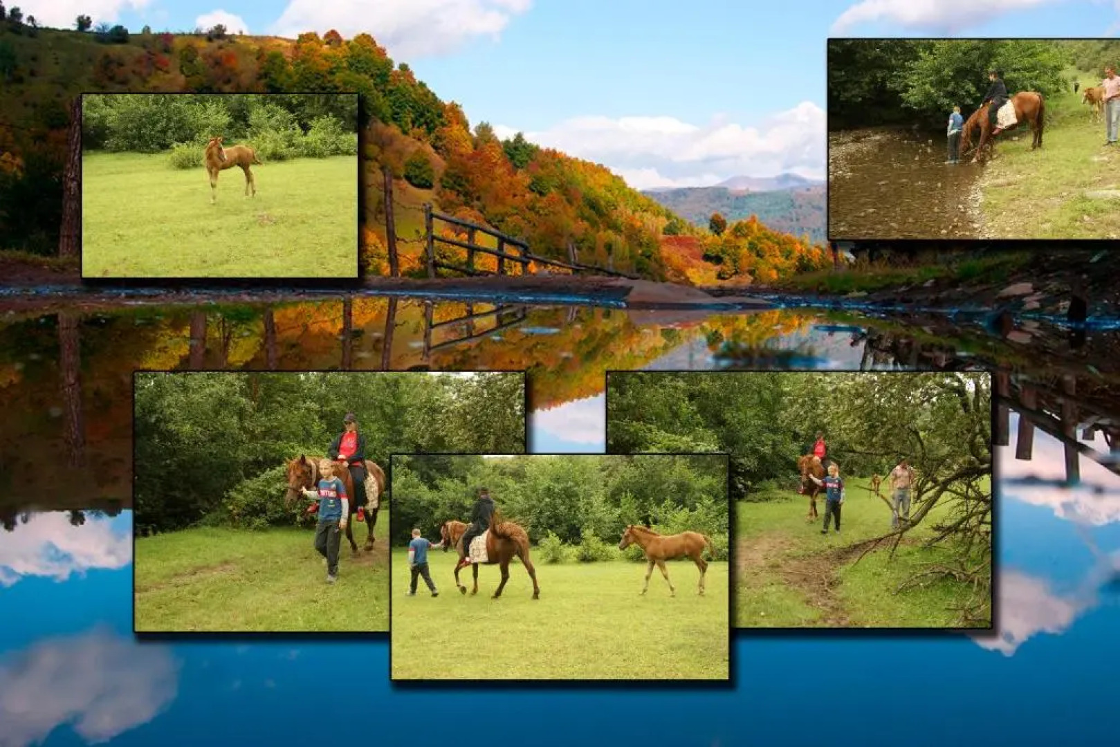Vip Sadyba Svalyava Apartment