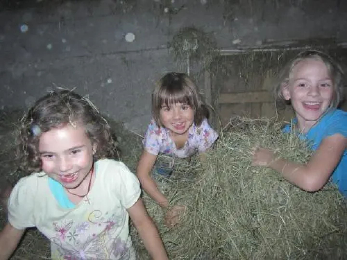 Familienbauernhof Gunzer-Sank