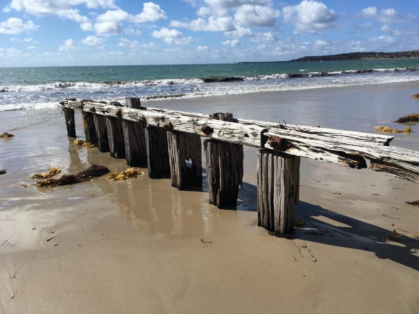 Wintergarden Beach Cabin