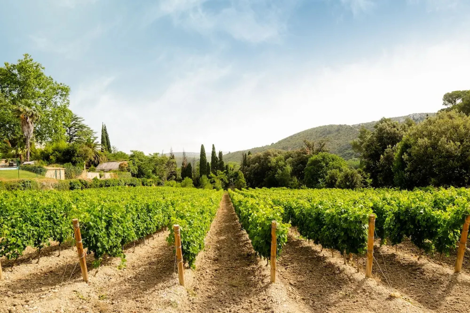 Château Haut Gléon. Gites