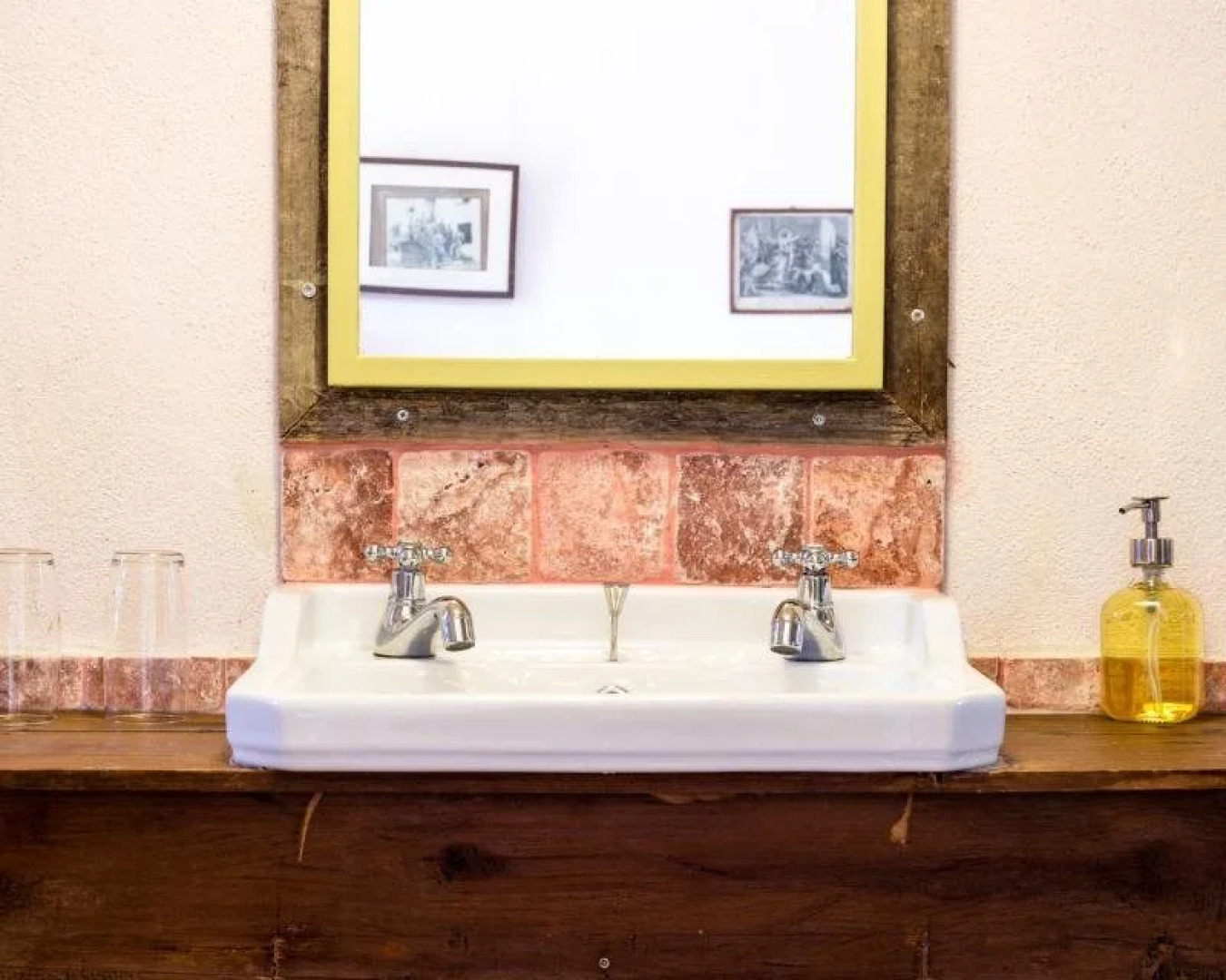 Uva do Monte - Blueberry Farm