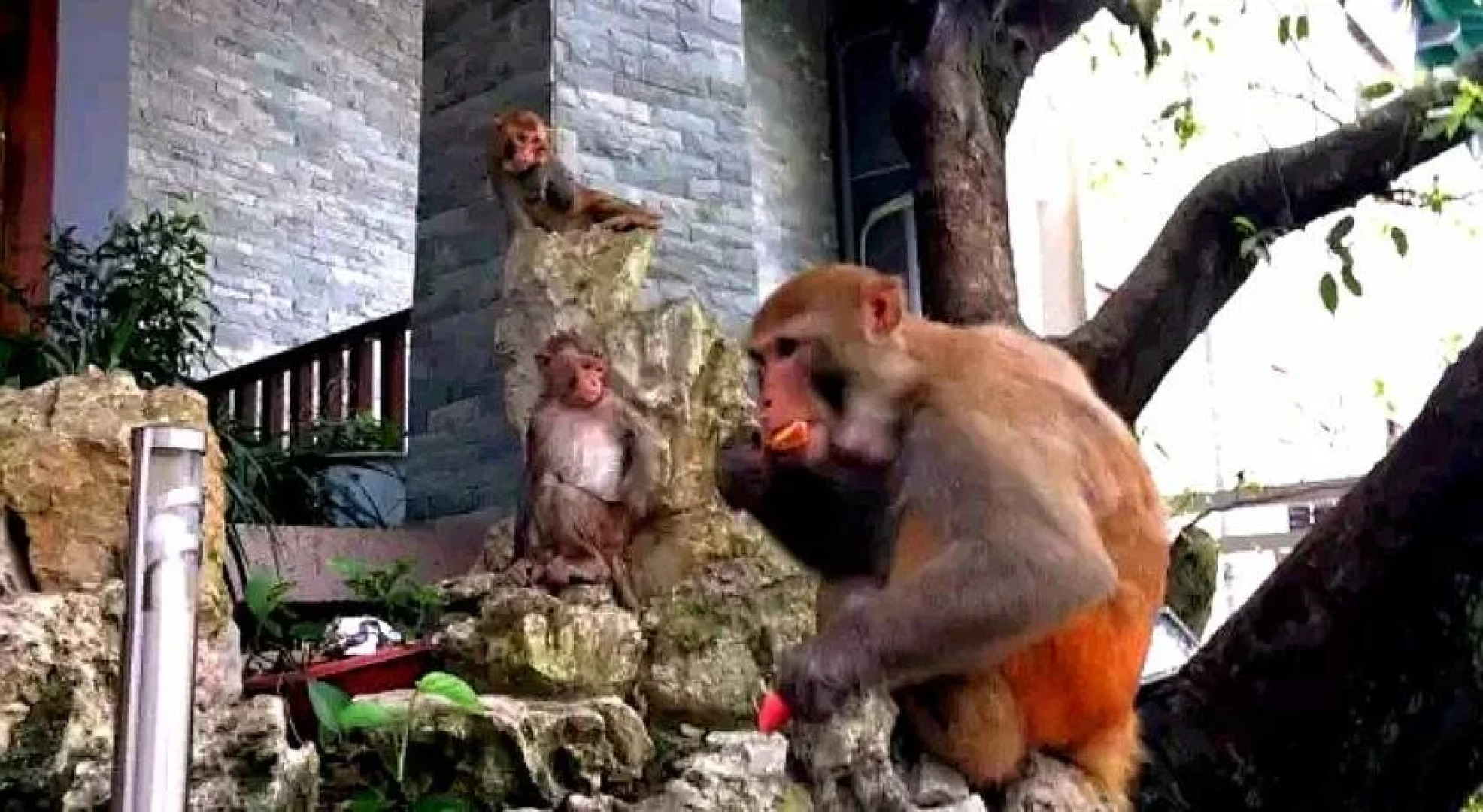 Guilin Crystal Crescent Moon Hotel