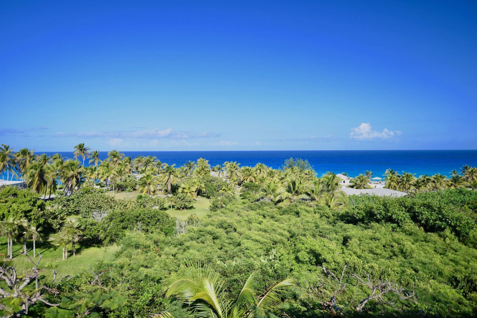 Stella Maris Resort Club